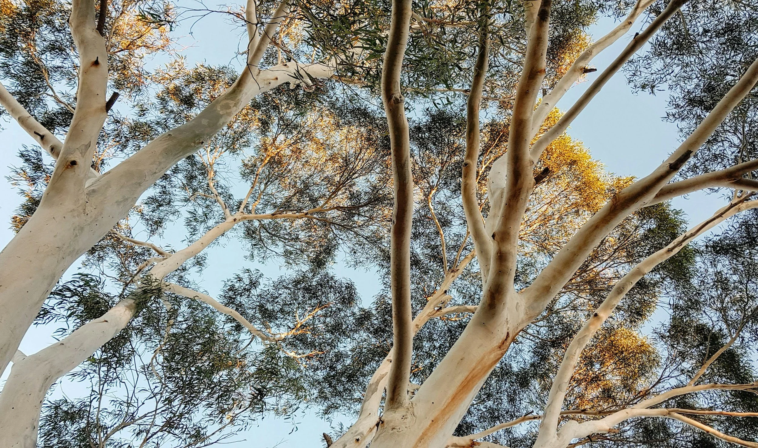 unsplash-image-M_Ow6fLAJ4o.jpg