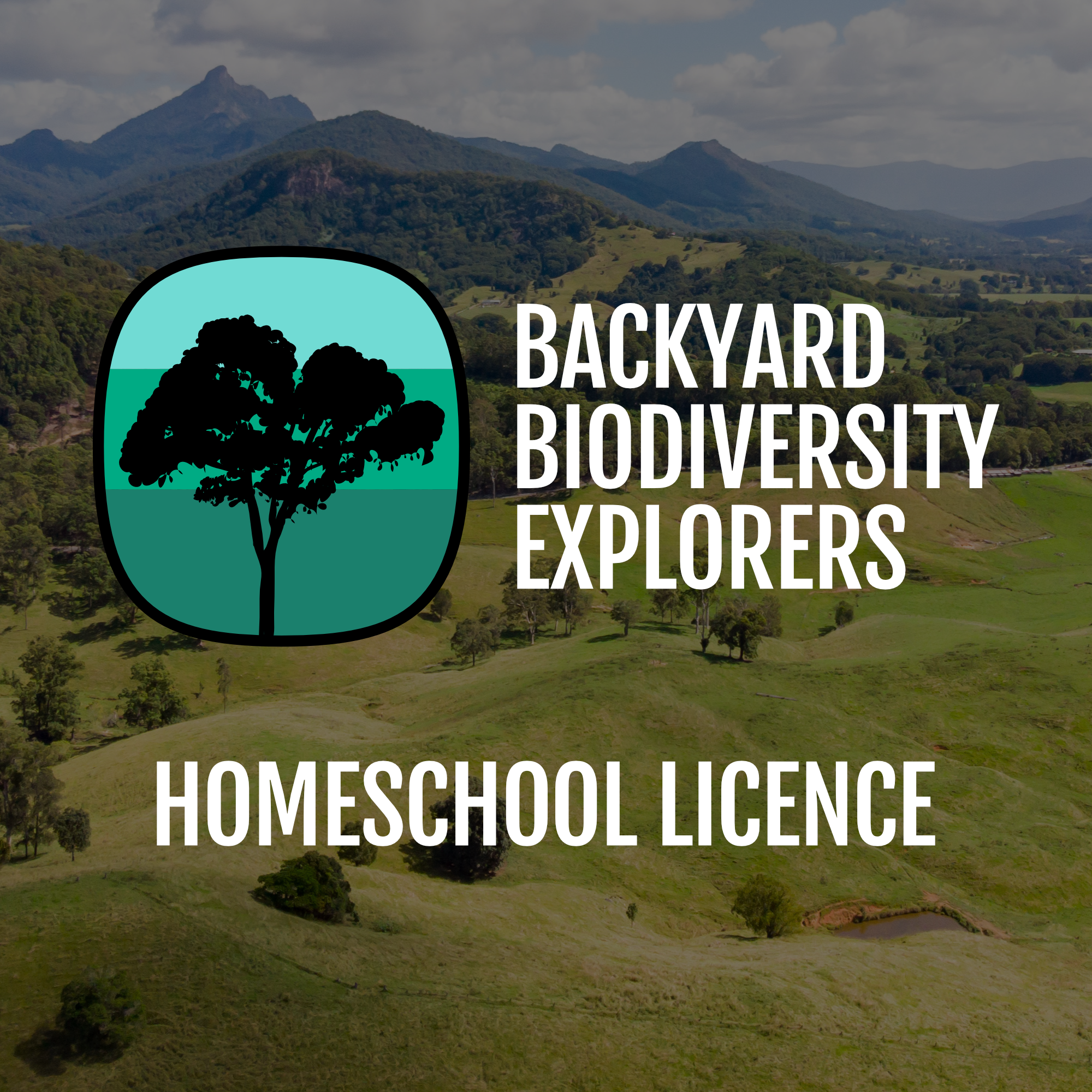 bbe_web-homeschool-licence.png