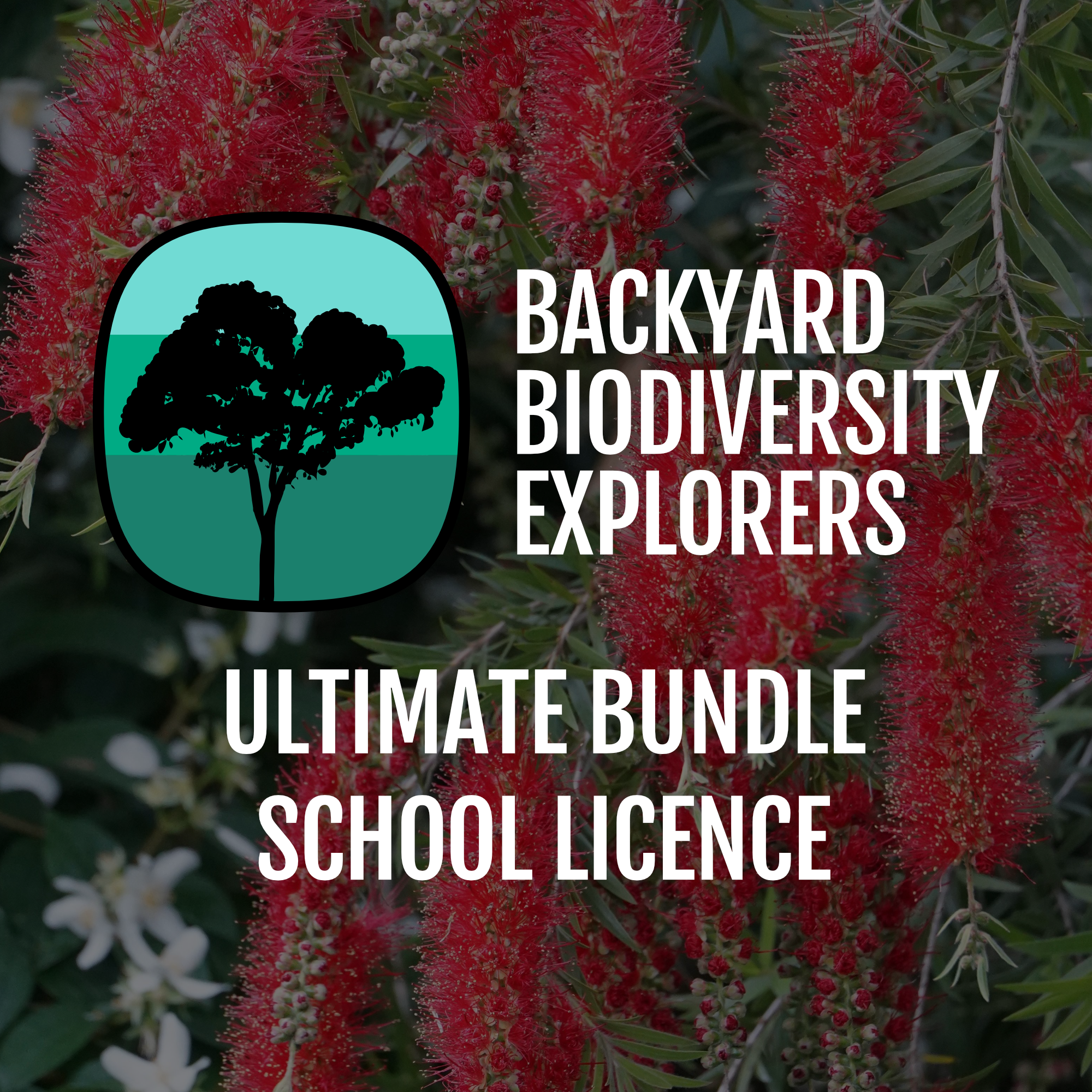 bbe-ultimate-bundle-schools.png