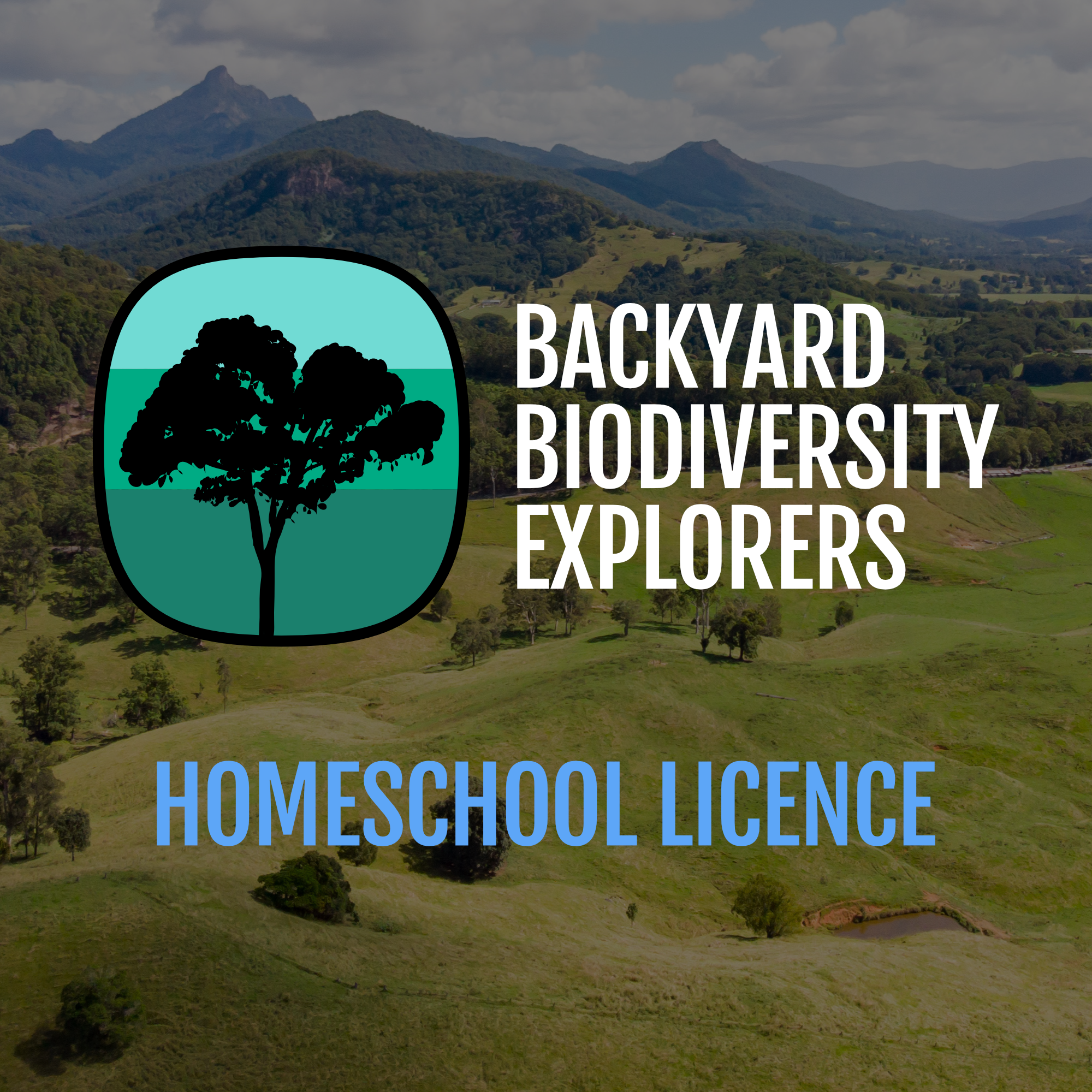 bbe_web-homeschool-licence.png