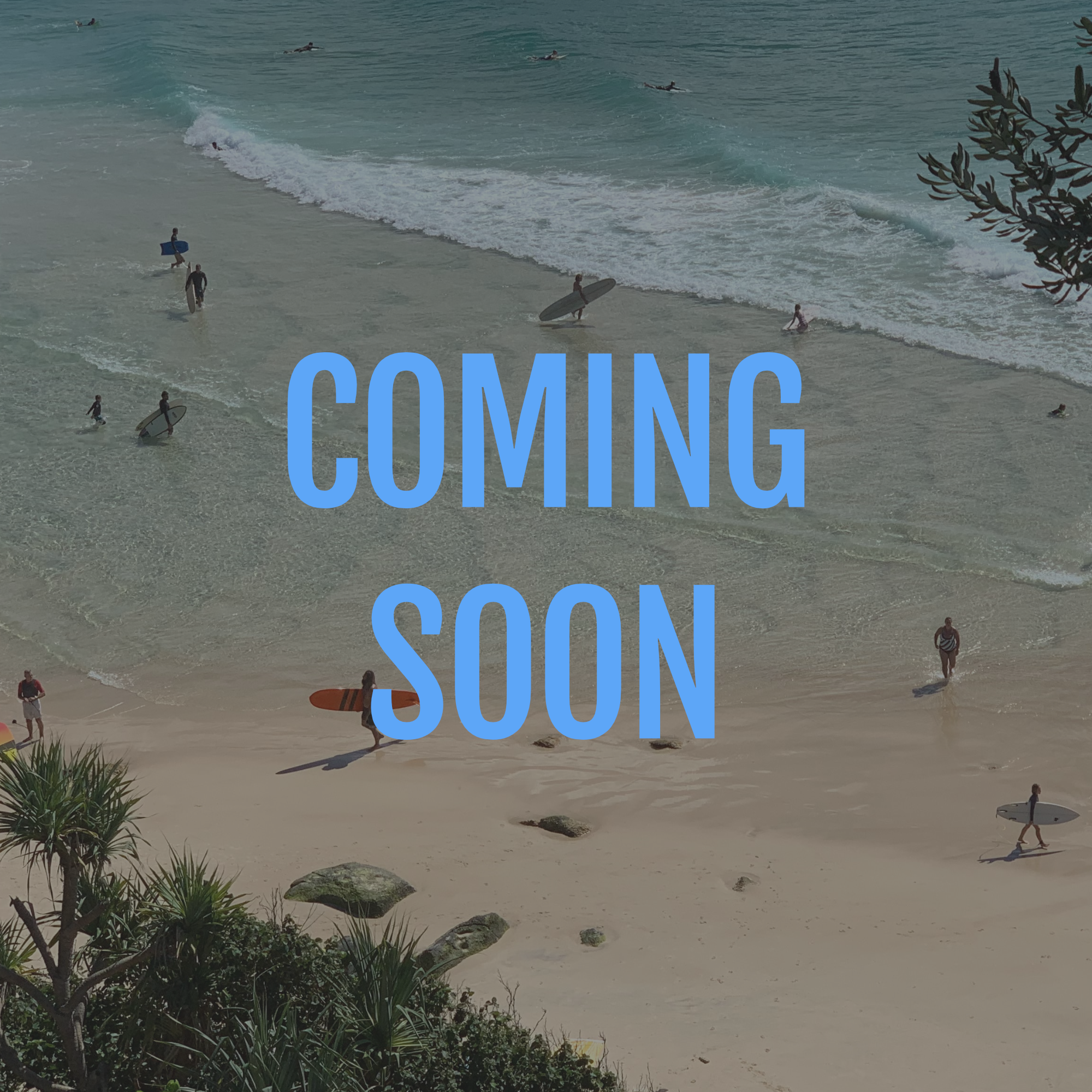 Placeholder image for future curriculum programs