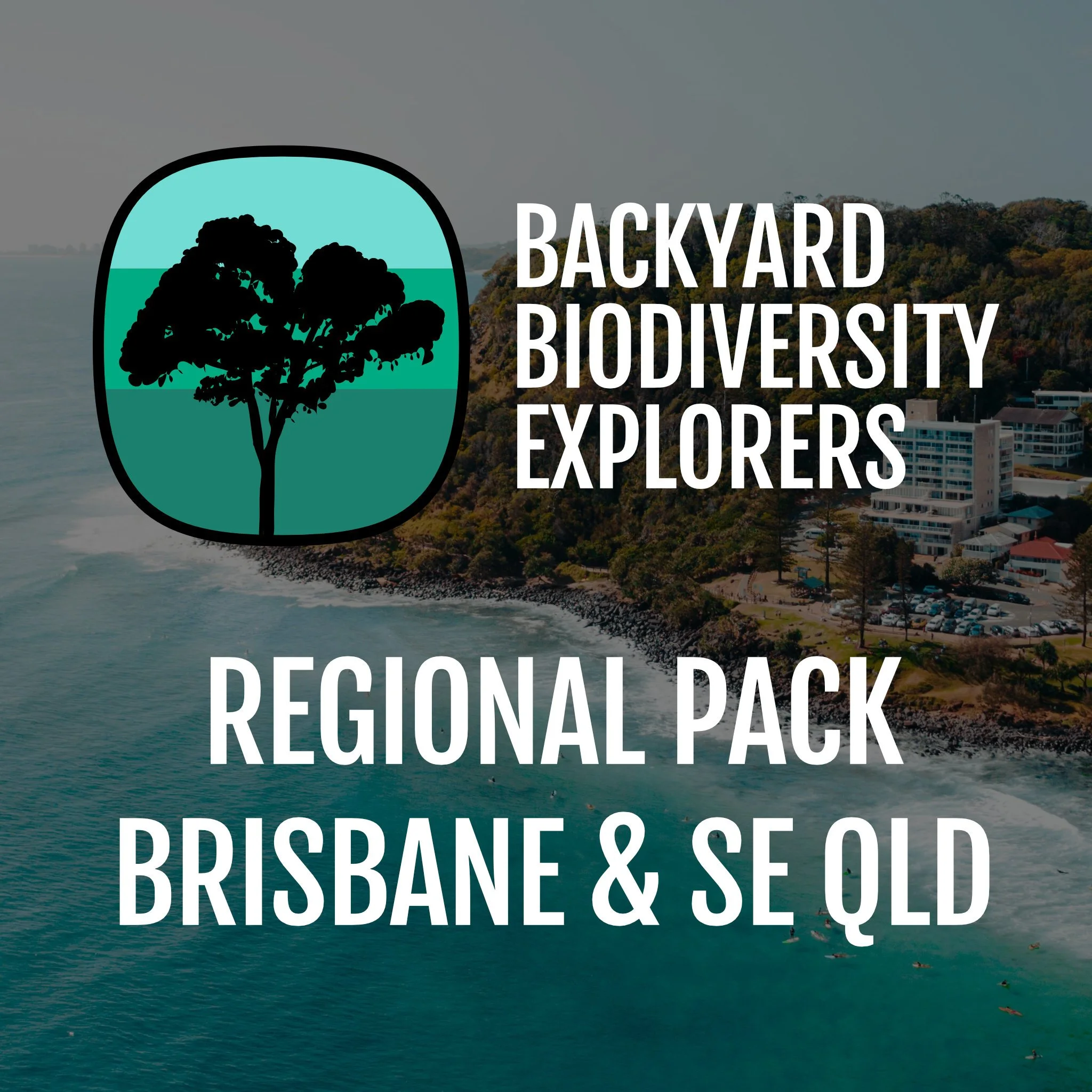 bbe_web-regional-pack-brisbane.jpg