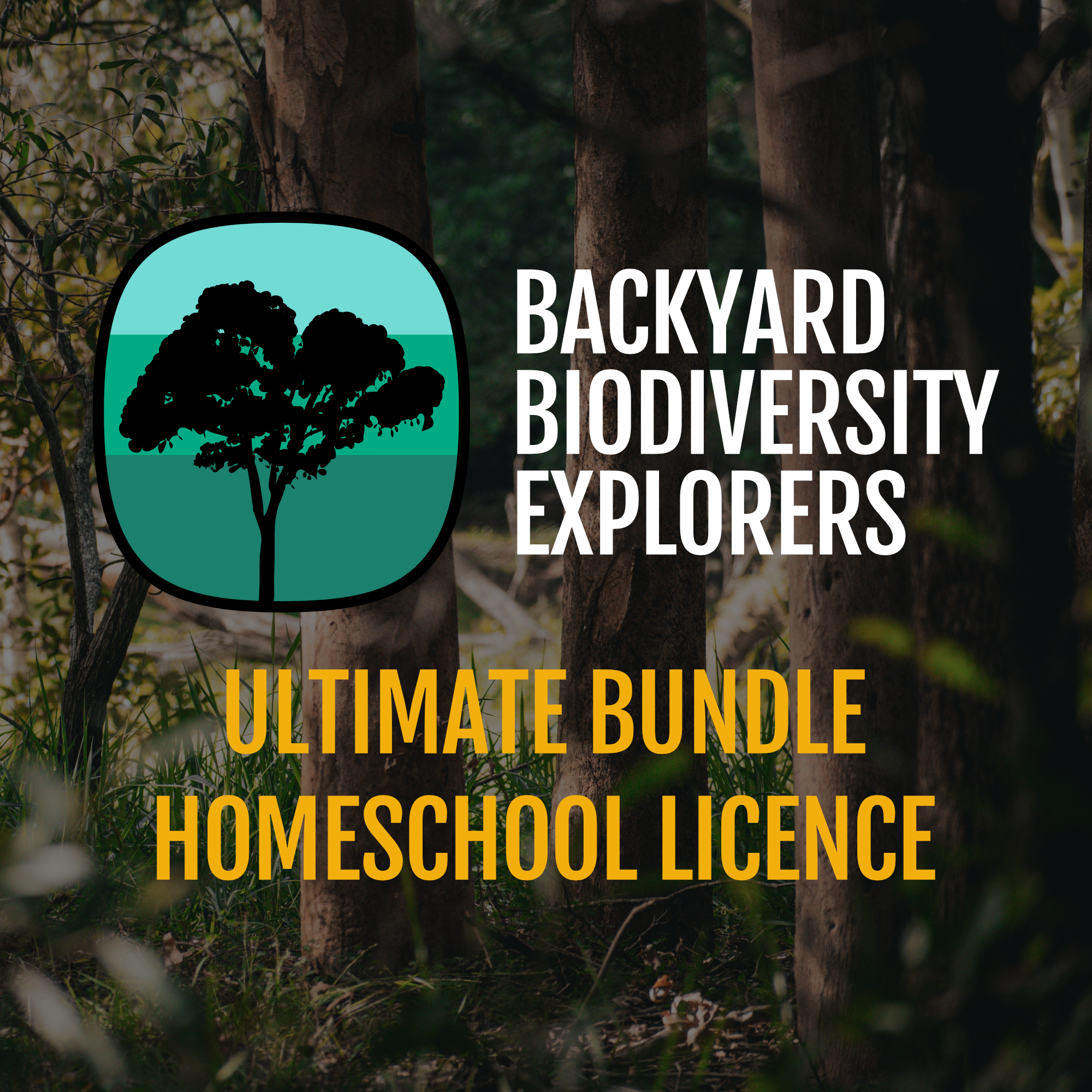 bbe-ultimate-bundle-homeschool.png