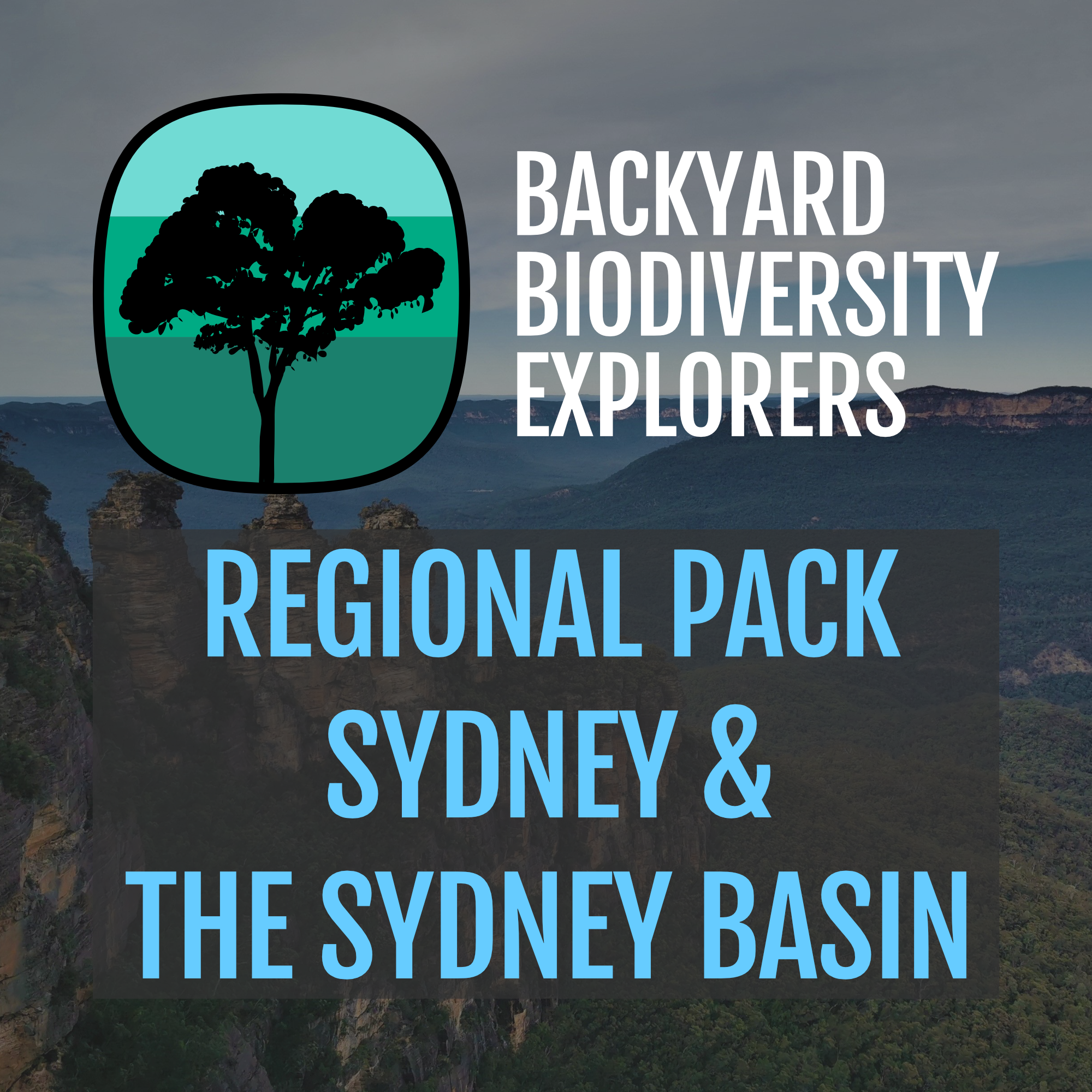 bbe_web-regional-pack-sydney.png