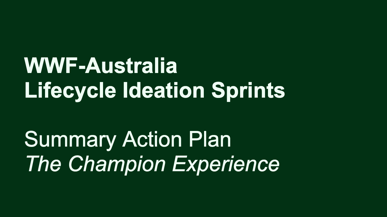 Cover of recommendation report for a support experience ideation sprint