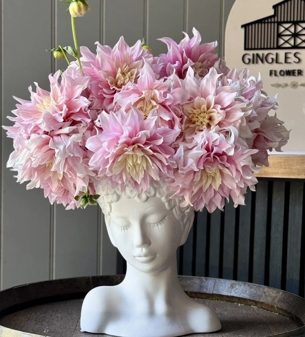 Cerise Rosebud.jpg