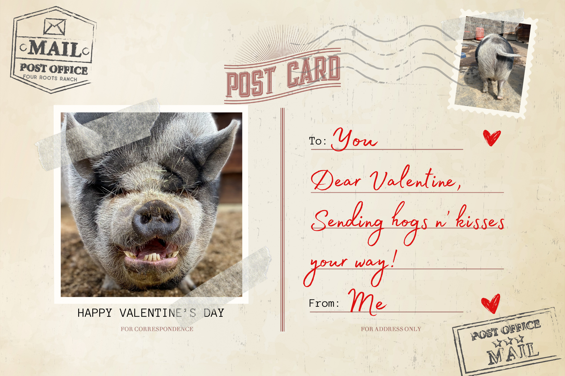 Pig - with name.png