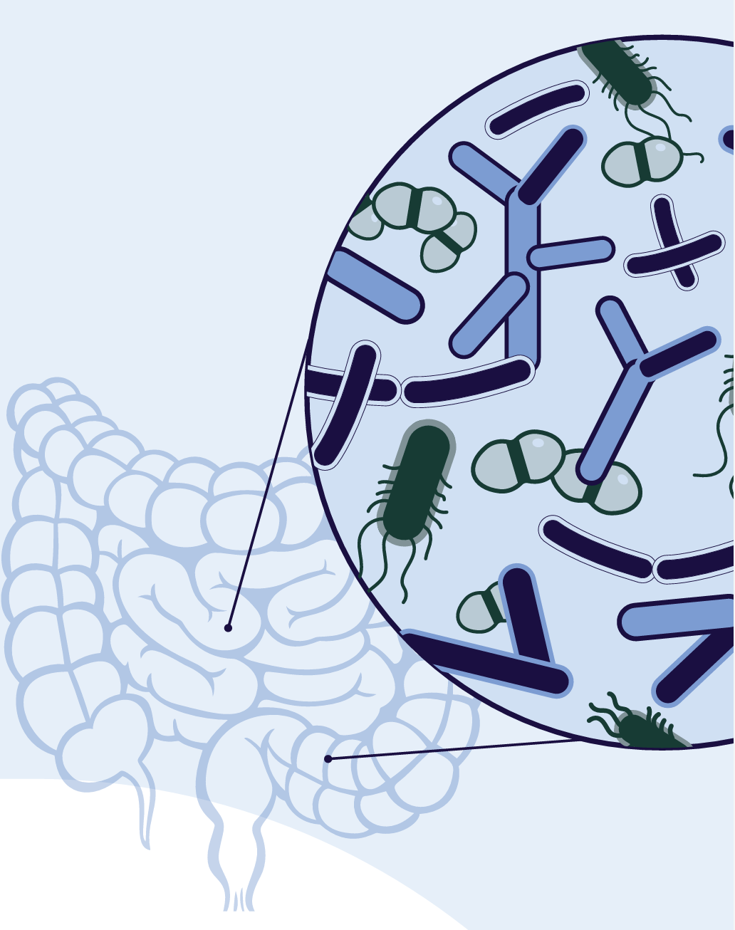 Gut-Brain Connection Online Hypnotherapy