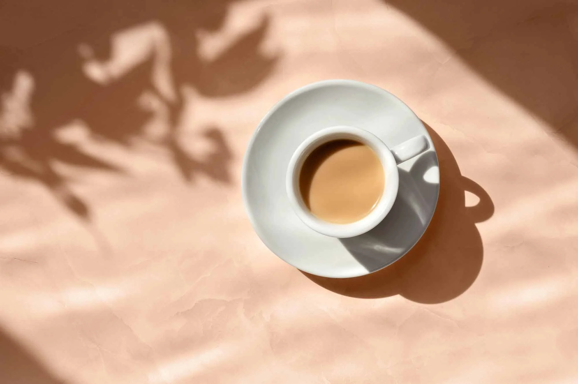 Kaffekopp. Onboarding och coaching för ny kundservice medarbetare. Stöttning och certifiering.