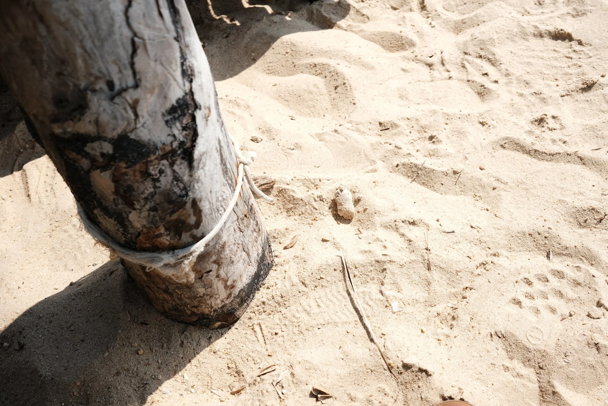 Close-up of a weathered wooden post with a white rope tied around it, on sandy ground with small rocks and dry twigs.