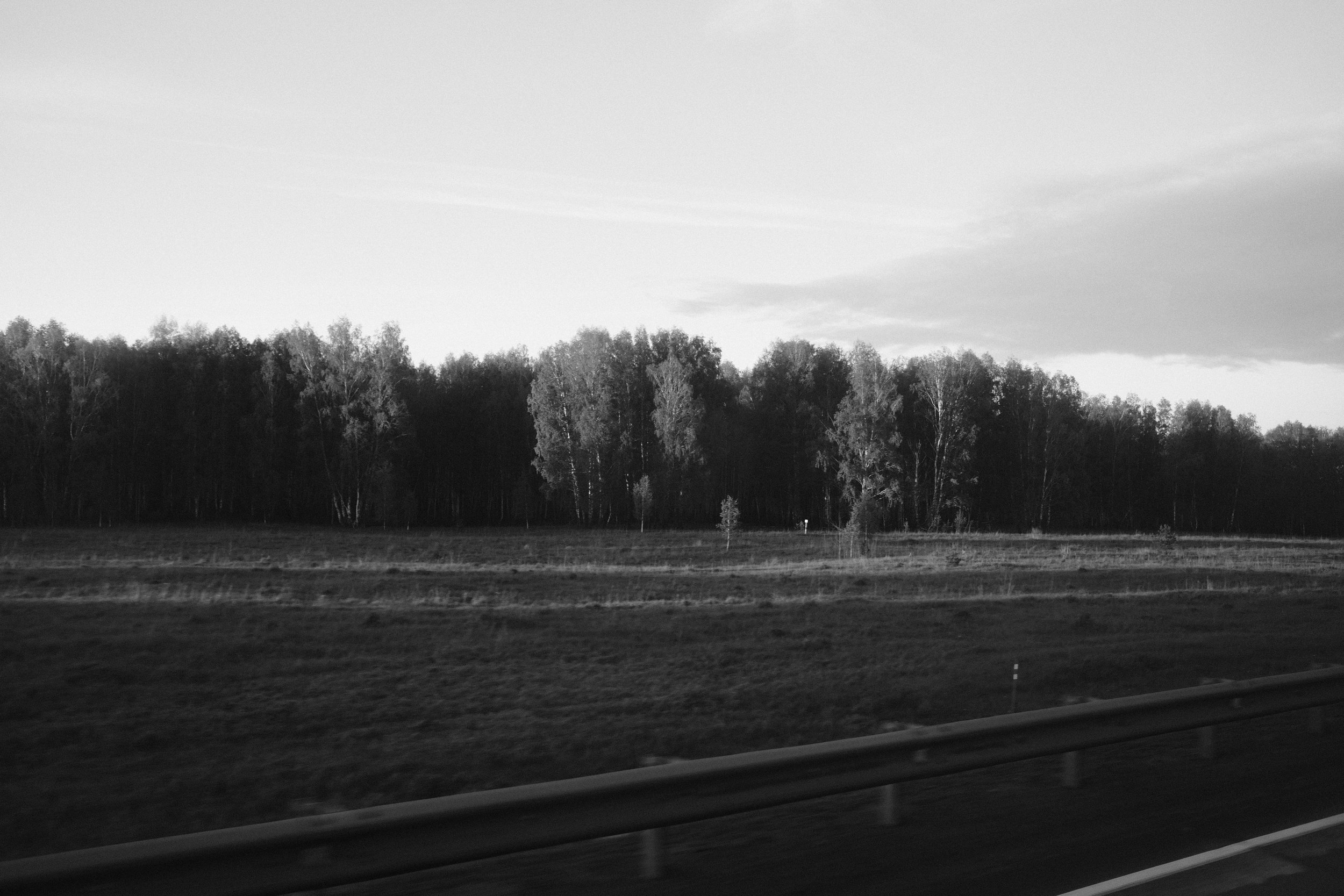 A black and white photo of a landscape seen from a moving vehicle, with a forest of tall trees and a cloudy sky in the background, and a guardrail in the foreground.