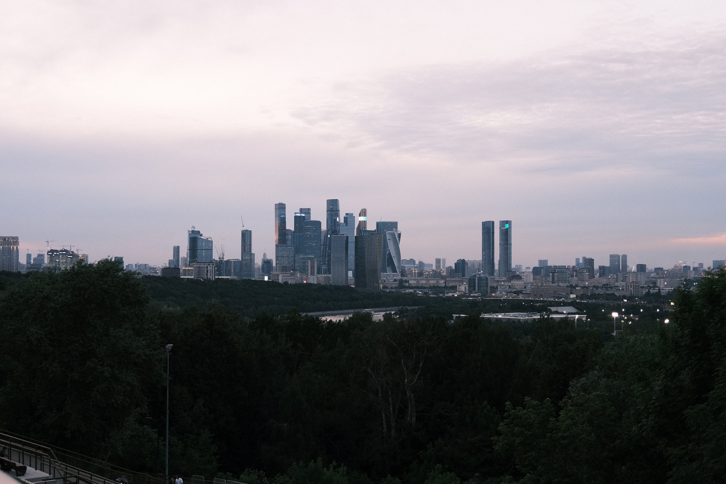 City skyline with tall modern skyscrapers seen from a park with trees in the foreground