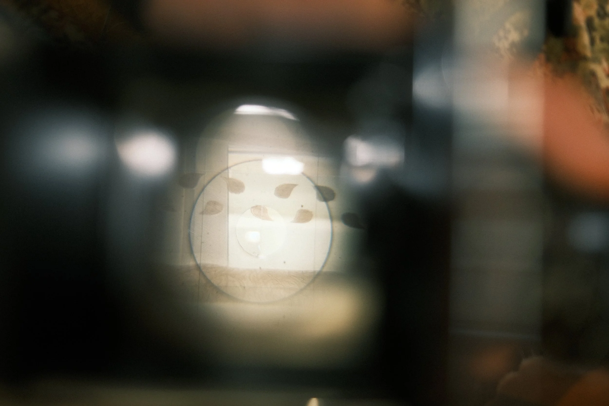 View through a small hole revealing a circle of falling leaves and a window in the background.