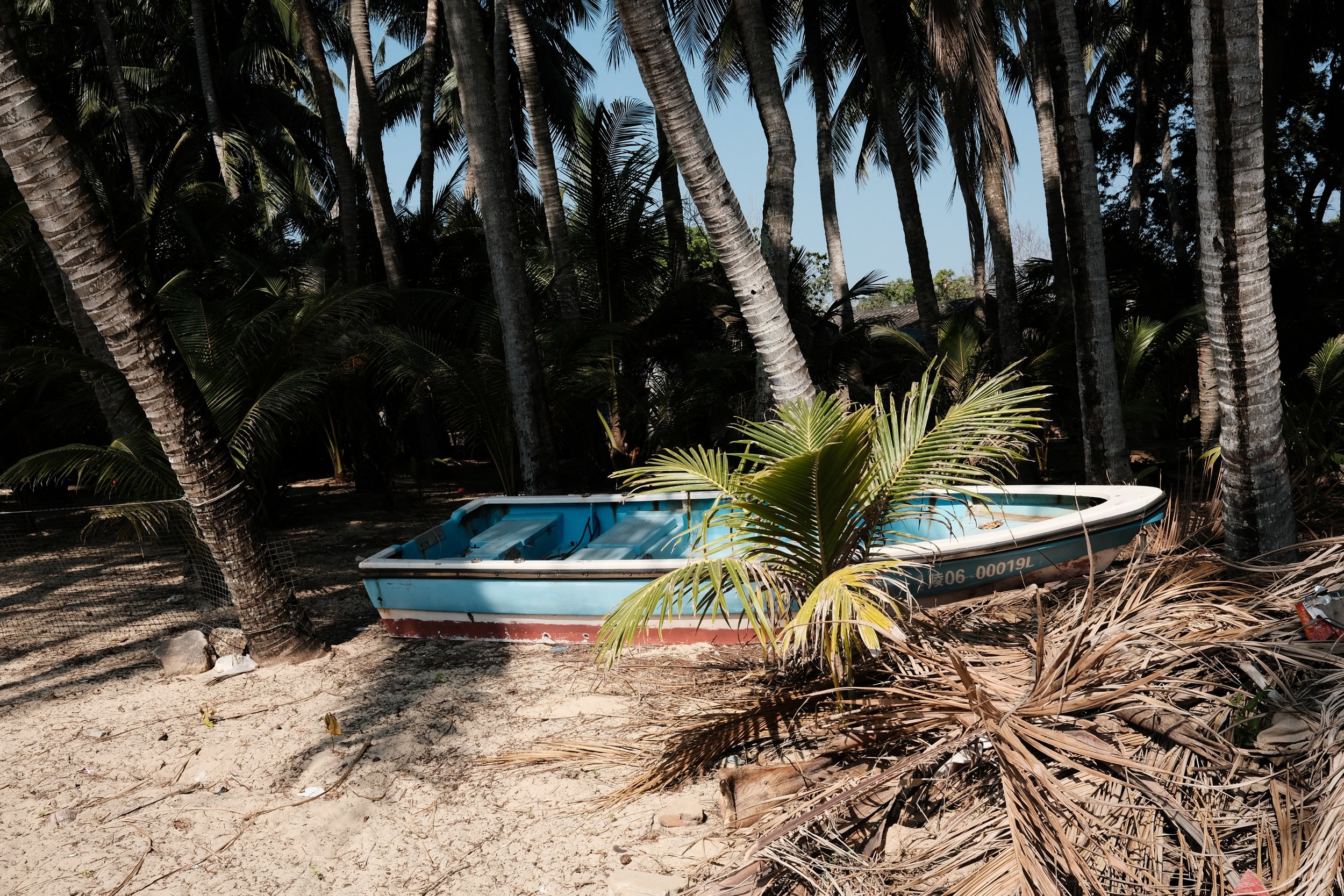 A small boat resting on sandy ground among palm trees and tropical vegetation.