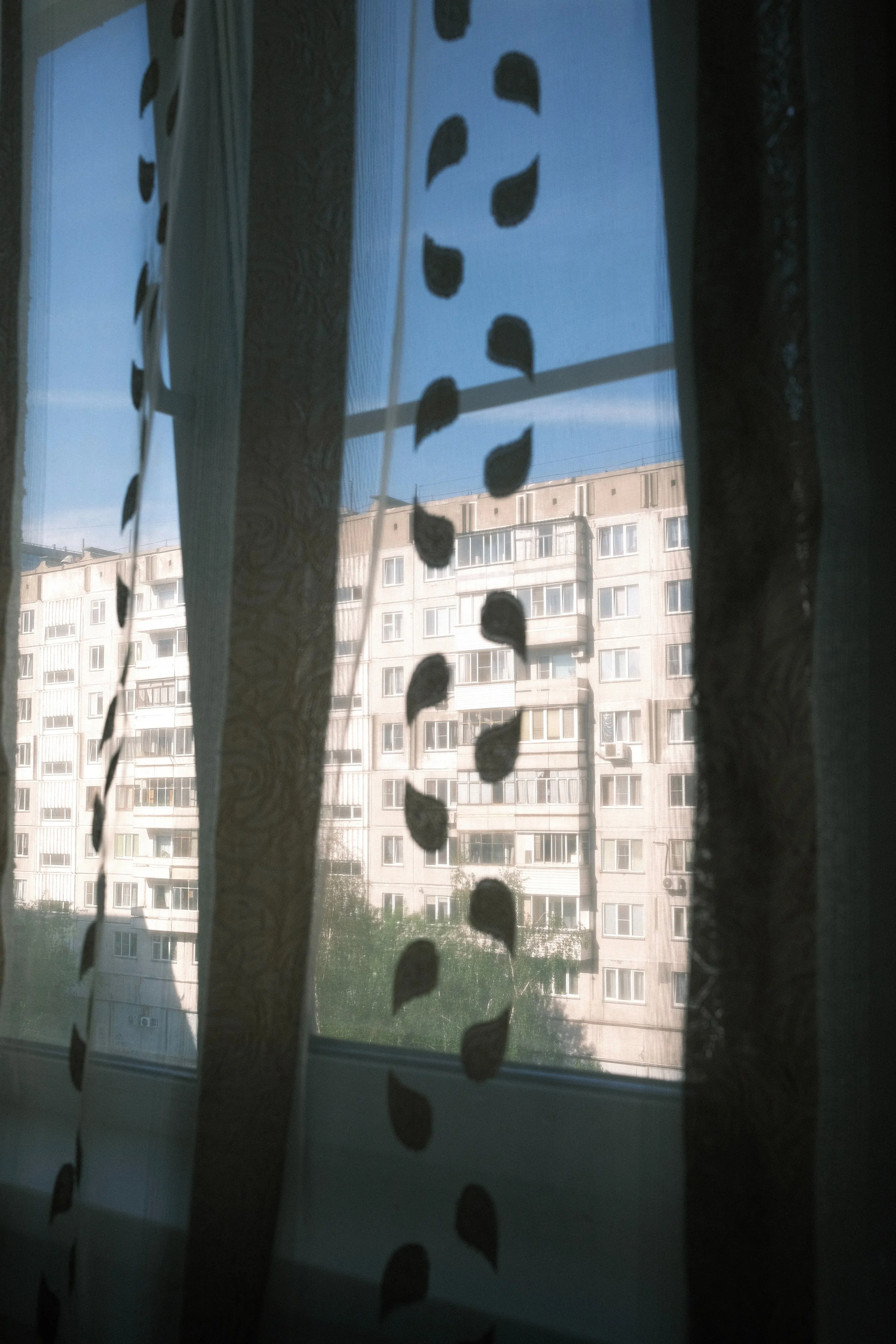 View through a window with sheer curtains and leaf-shaped decorations, showing a high-rise apartment building outside on a clear day.