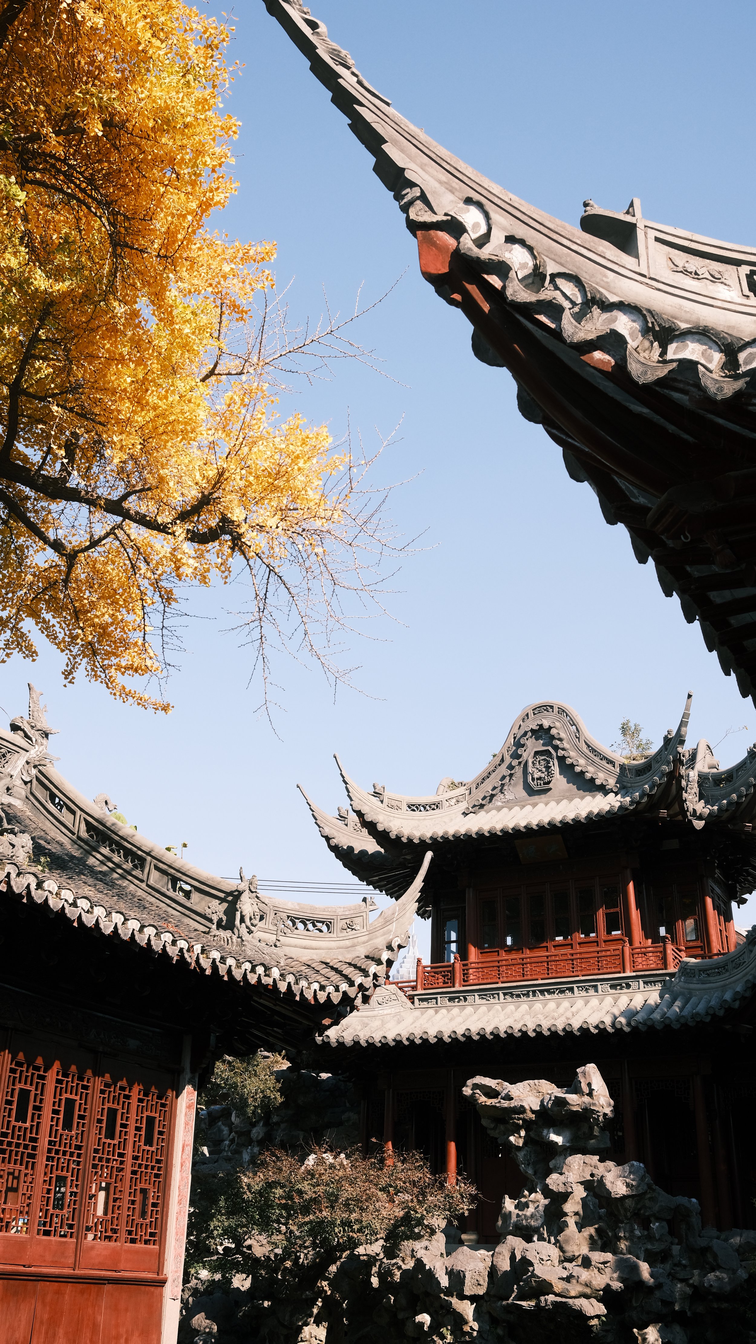 Traditional Asian temple with curved, ornate rooftops, set against a clear blue sky with a yellow autumn tree on the left.