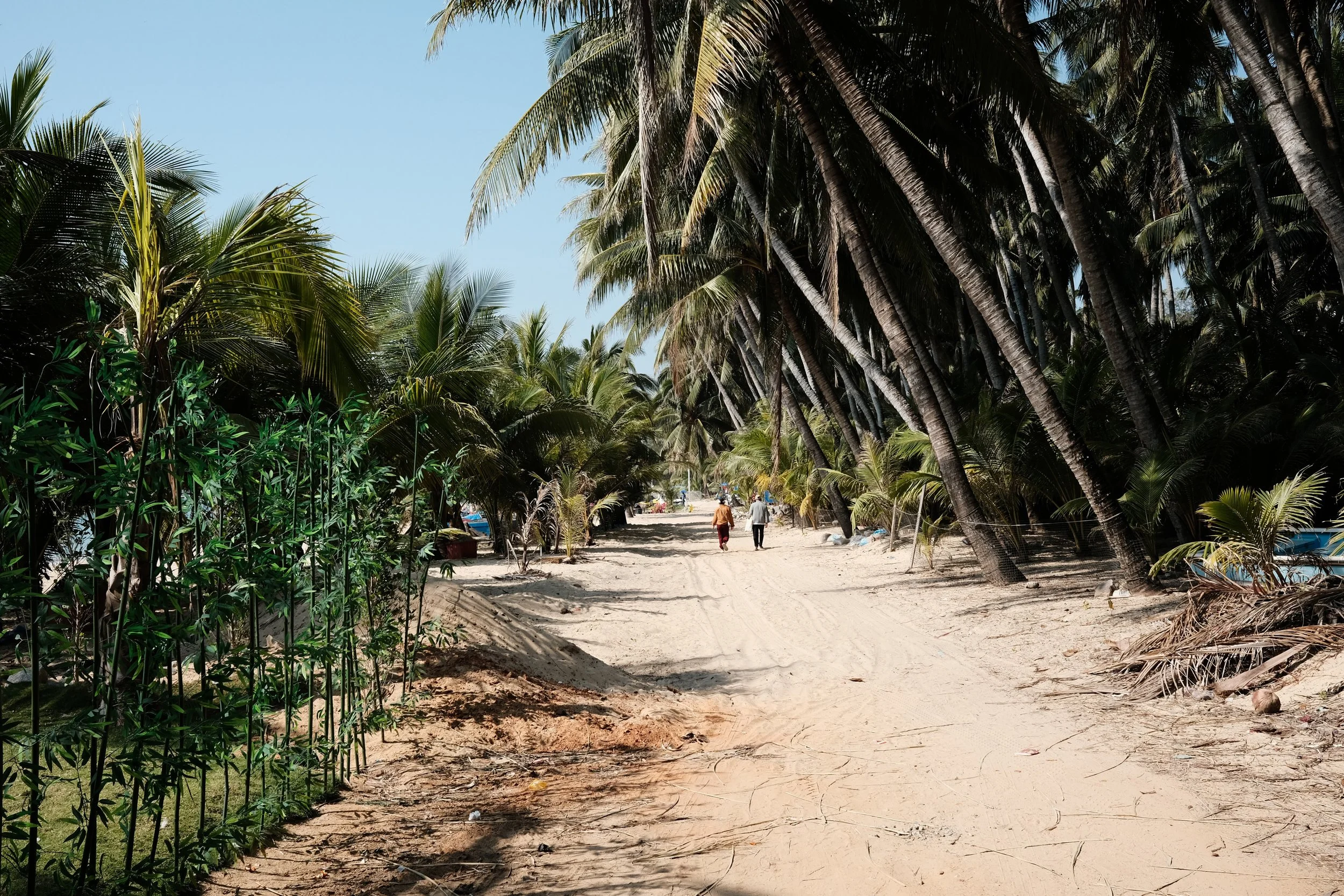 A sandy beach path lined with palm trees on both sides, with two people walking in the distance under a clear blue sky.