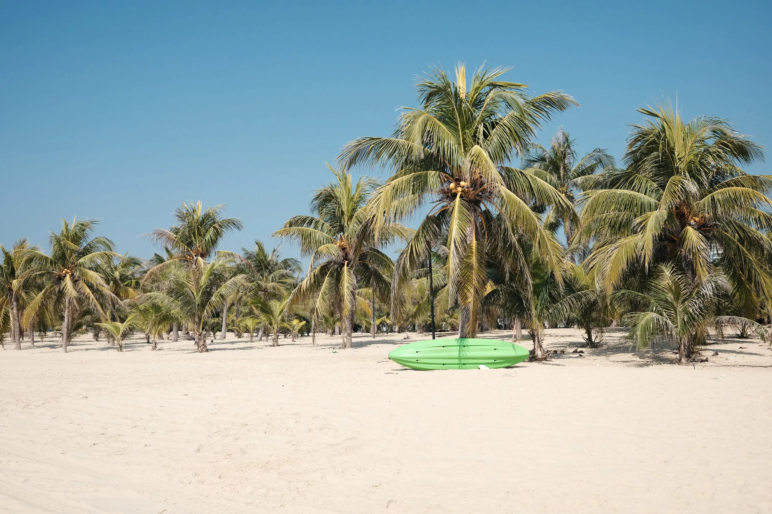A sandy beach with a green paddleboard lying on the sand, surrounded by numerous palm trees under a clear blue sky.