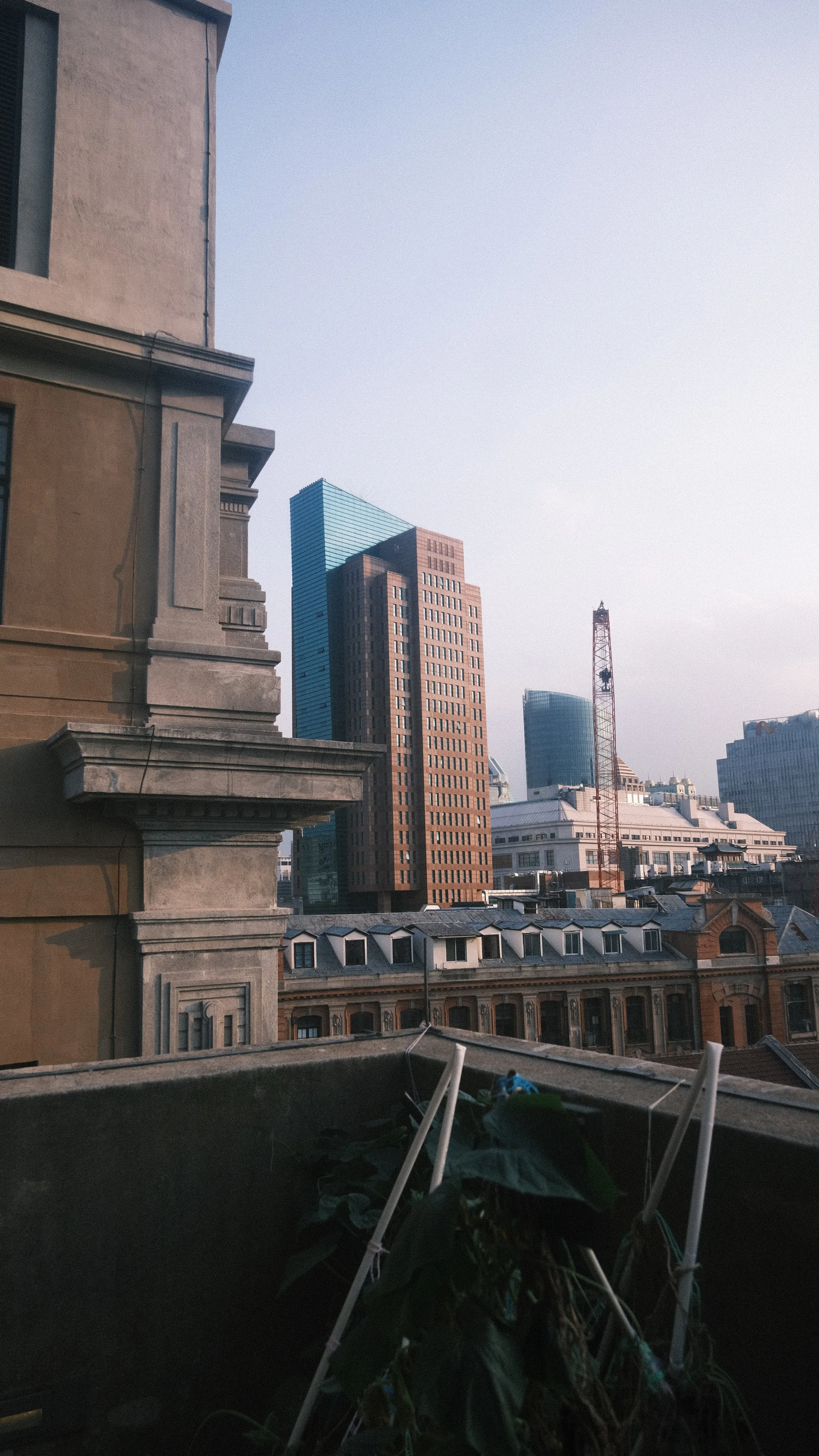 City skyline with various modern and historic buildings, including a construction crane, seen from a balcony with rooftop plants in the foreground.
