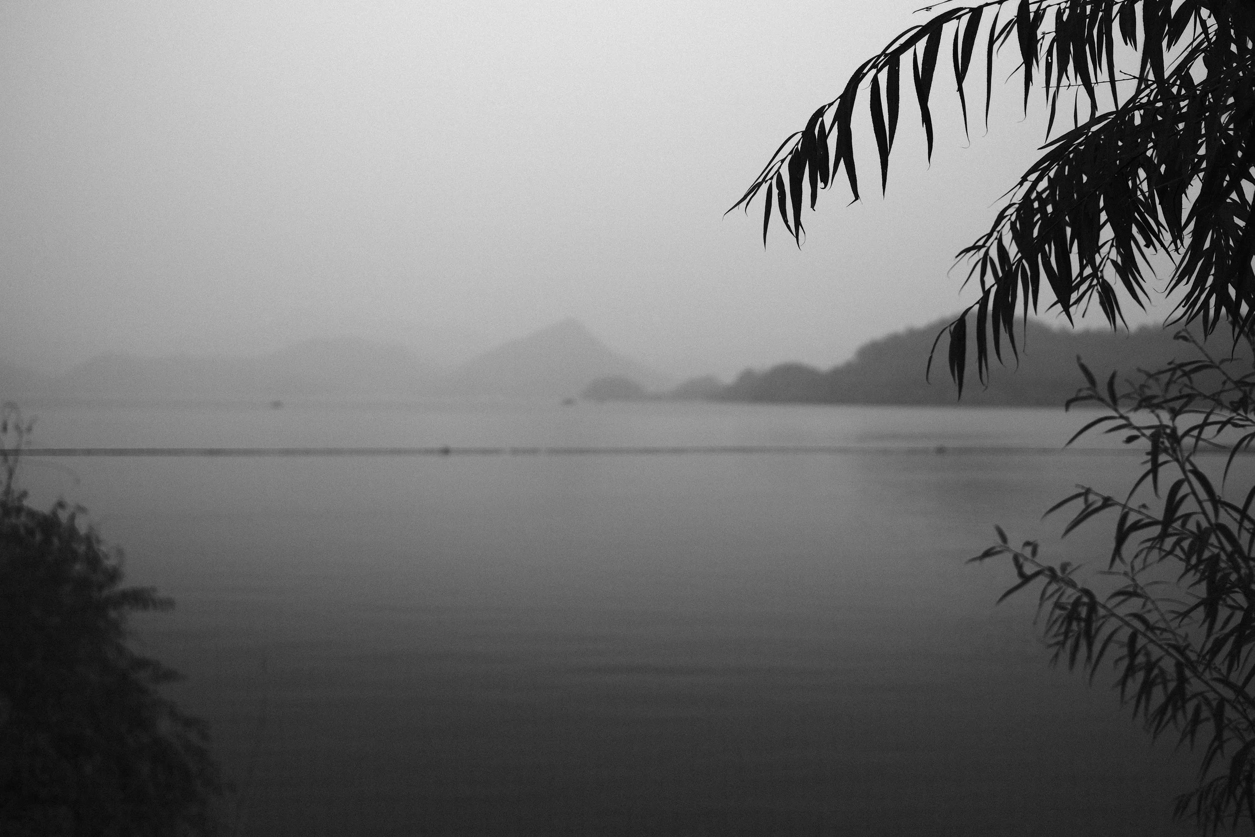 A black-and-white photograph of a calm lake with mountains in the distance, and overhanging leaves of a tree on the right and some bushes on the left.