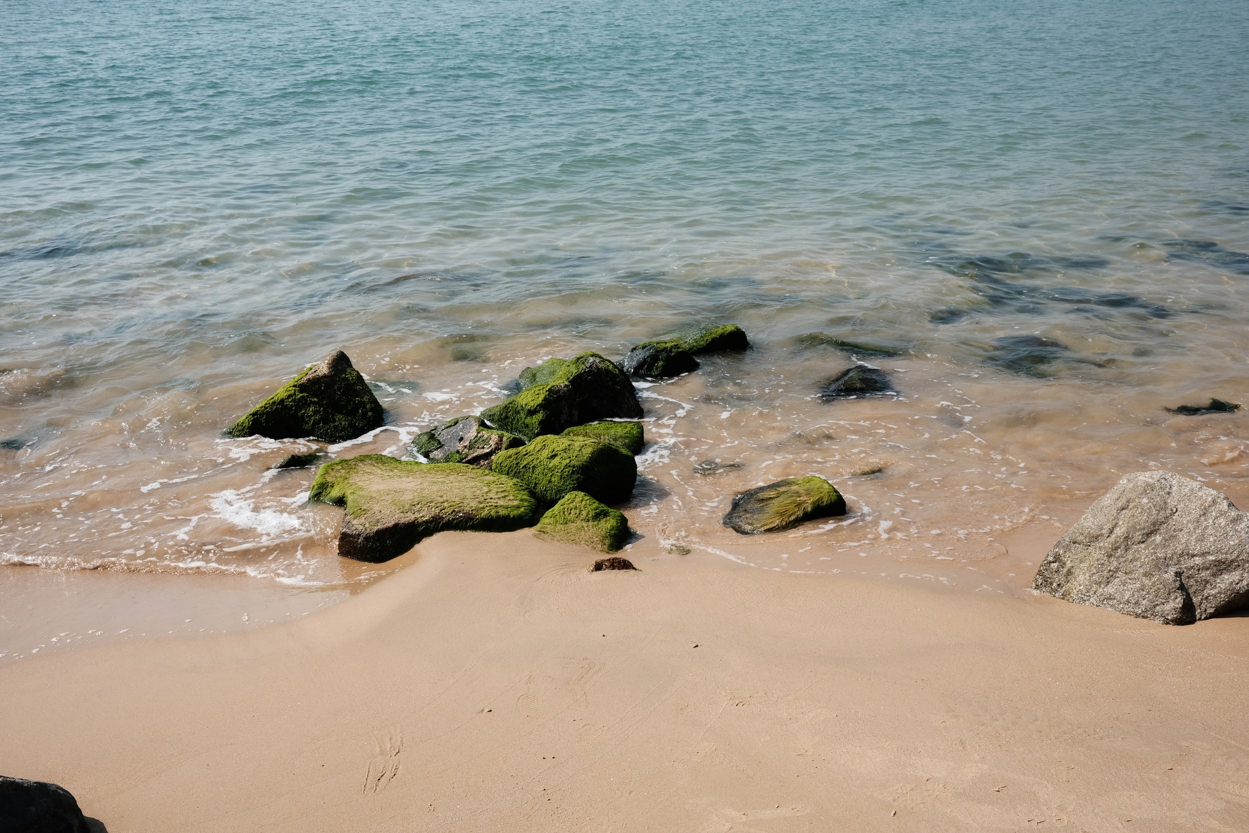Beach scene with rocks covered in green moss and gentle waves lapping the sandy shore.