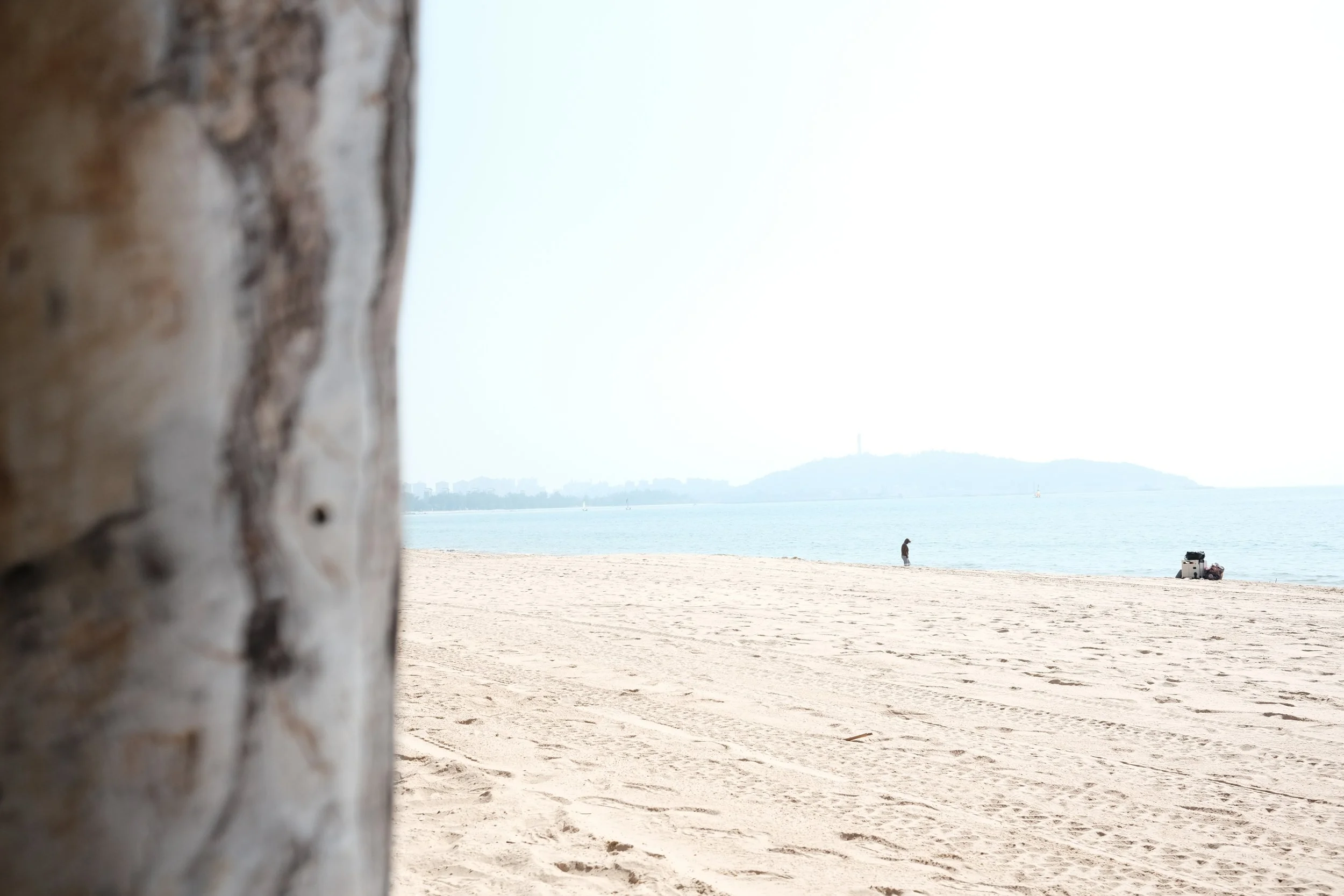 View of a beach with sand, water, and distant hills, seen from behind a tree trunk on the left side, with a person walking and some equipment near the water.