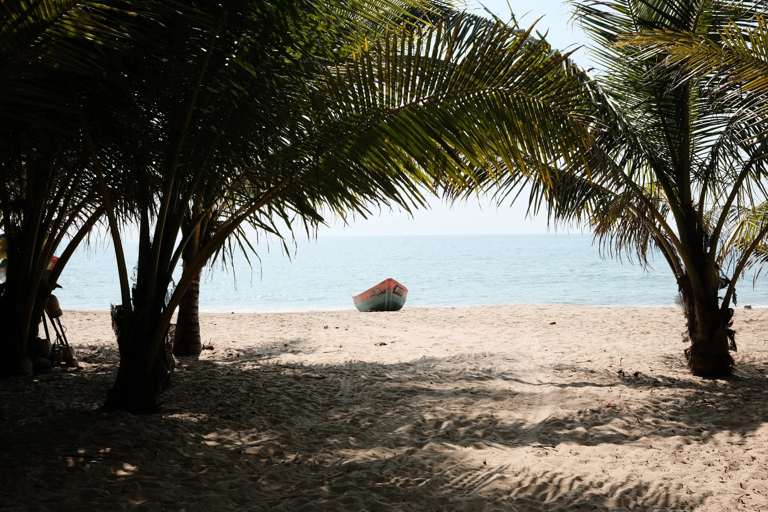 View of a beach through palm trees with a boat on the sand near the water.