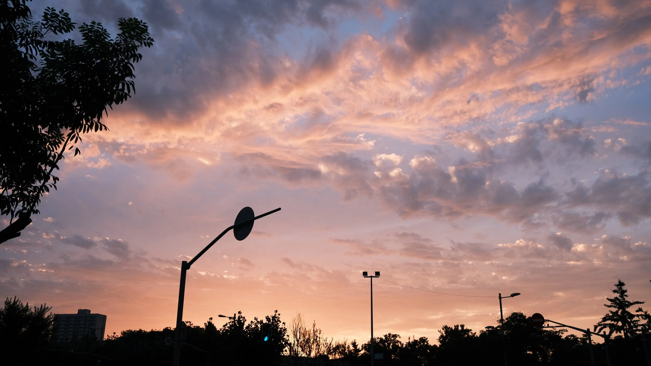A sunset sky with pink and purple clouds, silhouetted trees, streetlights, and a road sign in the foreground.