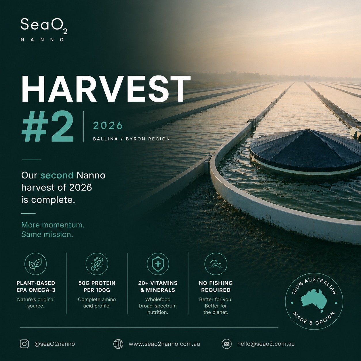 Harvest #2 done 🌱

Our second Nanno harvest of 2026,  grown right here in the Ballina / Byron region.