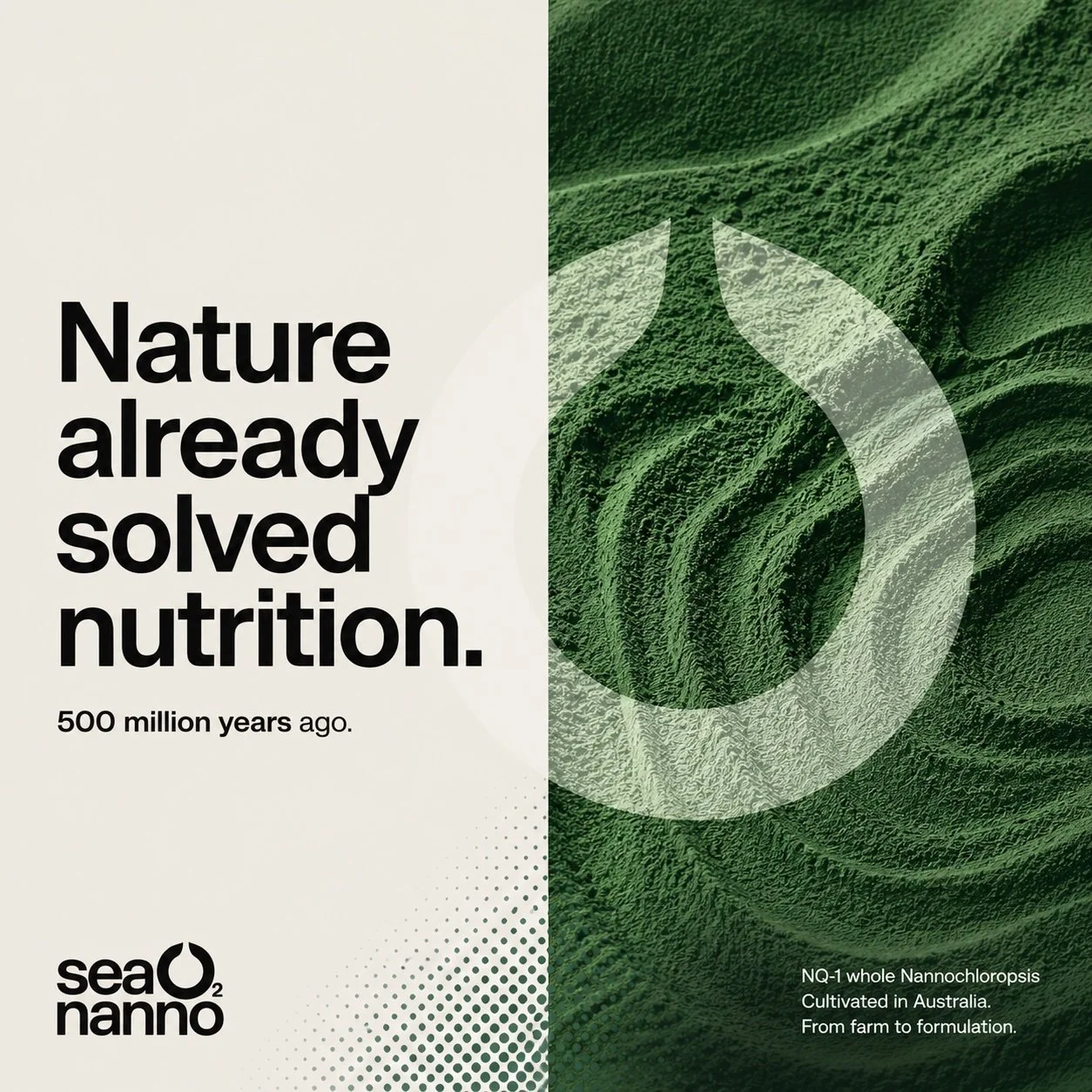 500 million years ago, nature built the world's most complete nutrient package. It wasn't formulated in a lab. It wasn't engineered or stacked. It was grown.

NQ-1 is that organism. A single-source, whole-food ingredient that naturally delivers brain