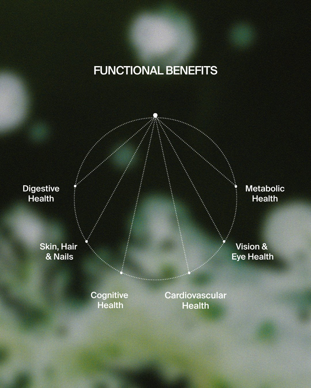Feeling well is about more than one thing.

Energy, focus, digestion, heart health, vision and how we age are all part of the bigger picture. 

Nannovia&trade; is designed to support multiple areas of health through the naturally occurring spectrum o