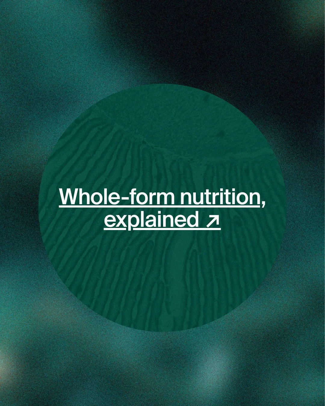 Whole-form nutrition, closer to nature. 🌿

Nannovia&trade; keeps its naturally occurring nutrients together within the whole microalgae biomass, giving consumers a broader spectrum of nutrition in its original form. 

#SeaO2Nutrition #Nannovia #Micr