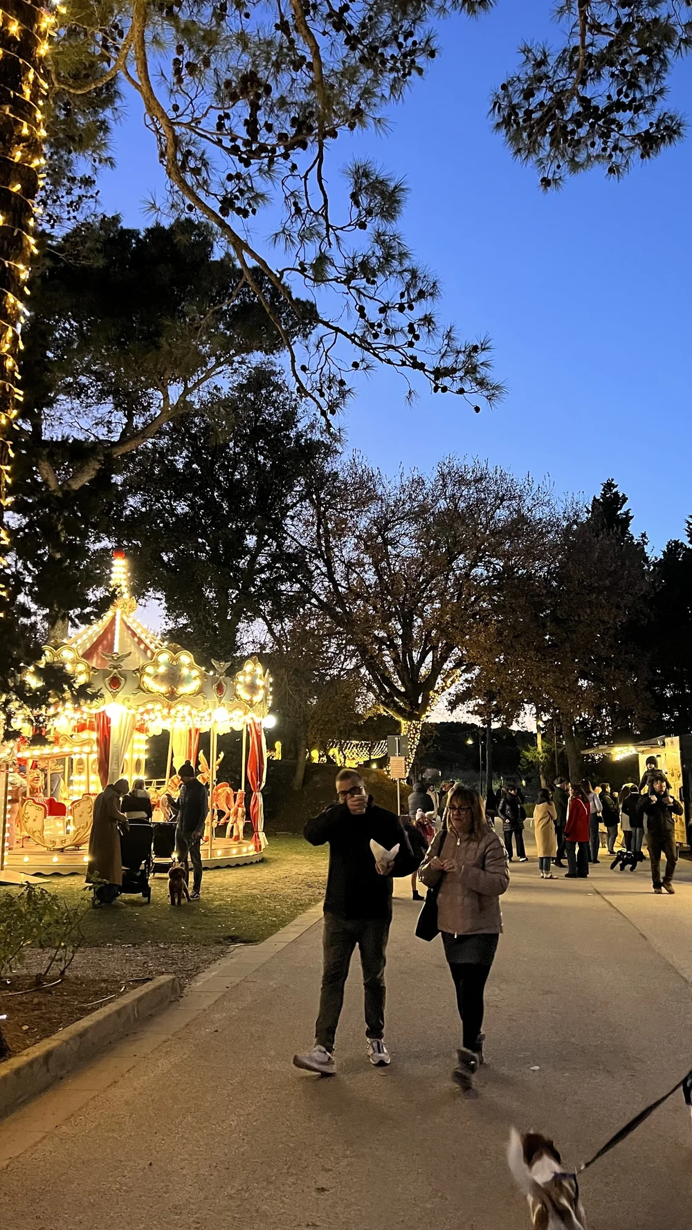 The Christmas Carousel