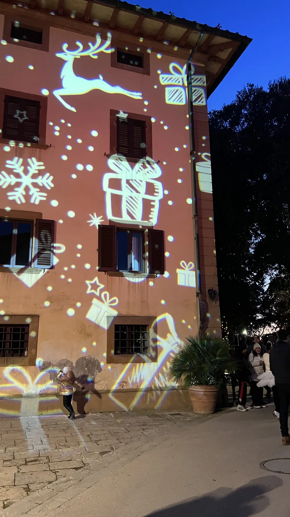 All lit up with a gorgeous lightshow