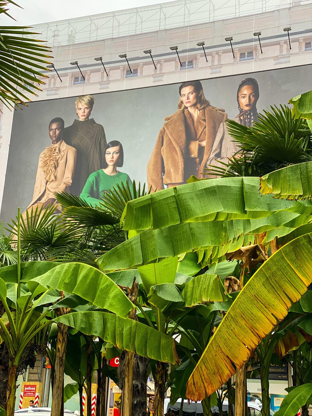 Fashion lovers paradise