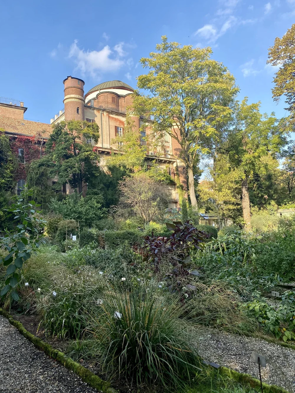 Orto Botanico di Brera