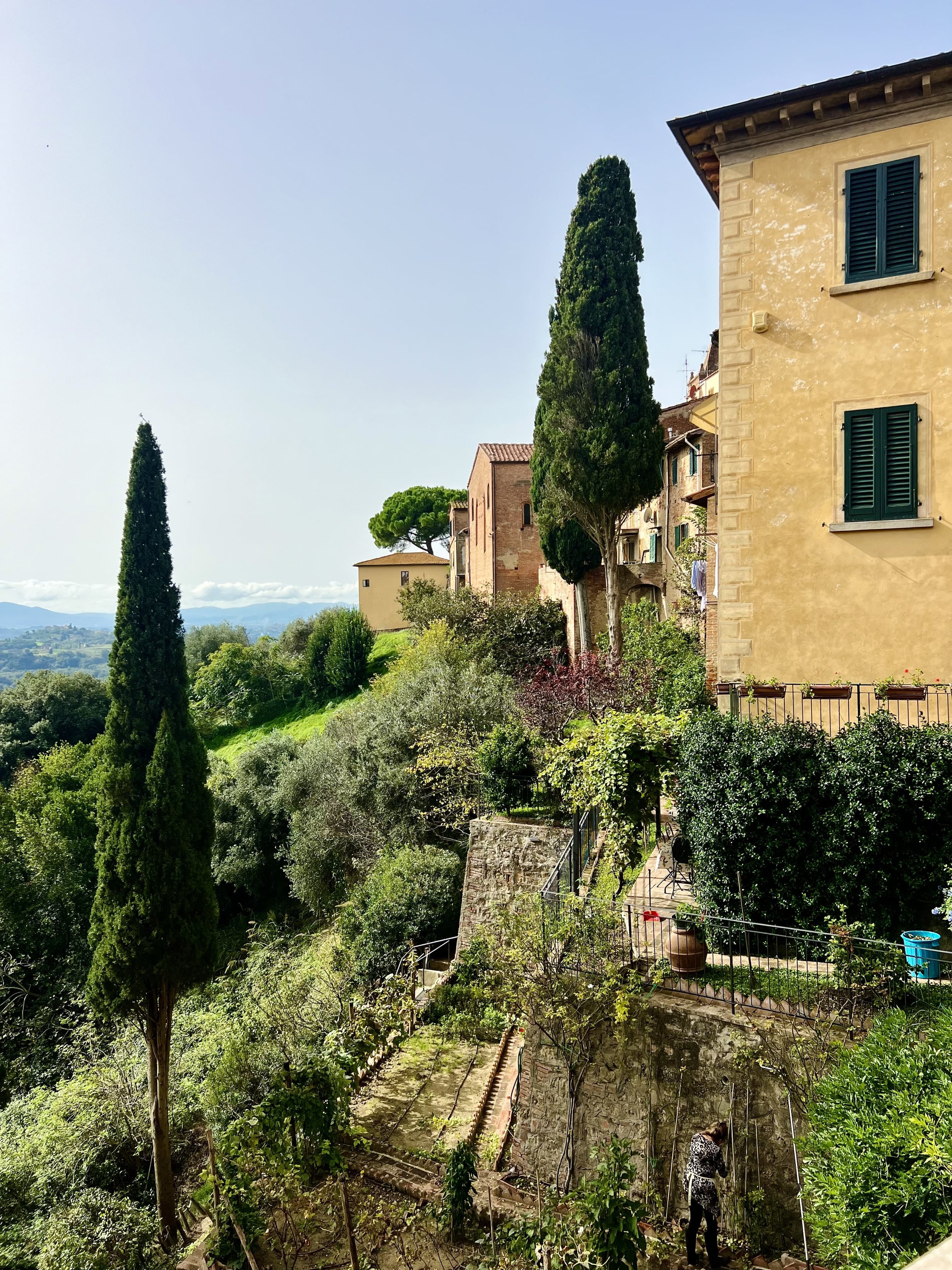 Palaia