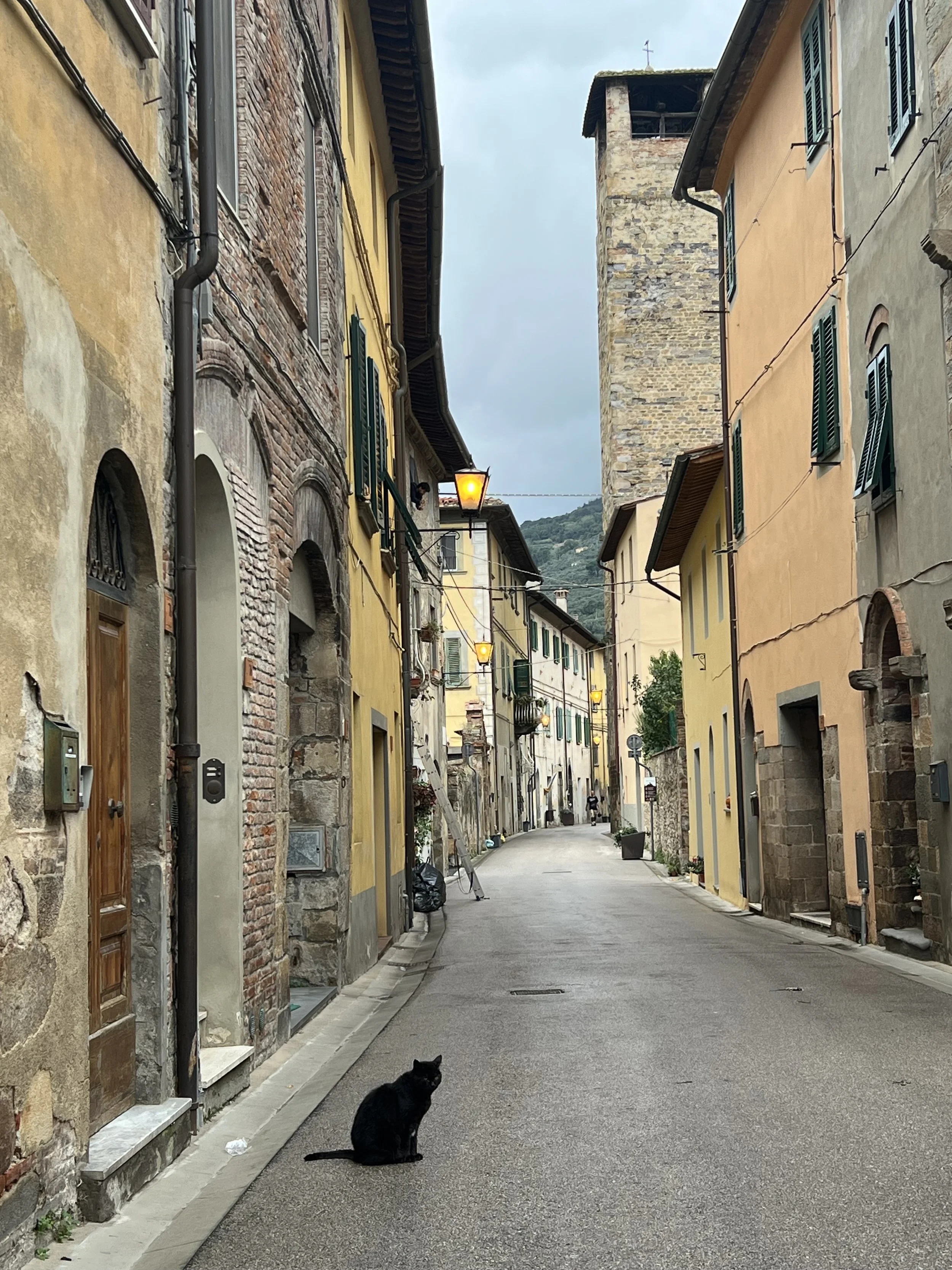 VICOPISANO VIA LANTE WITH CAT.jpeg