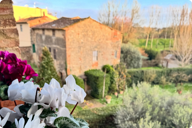 Spring flowers on a windowsill overlooking rolling Tuscan countryside and rustic buildings.