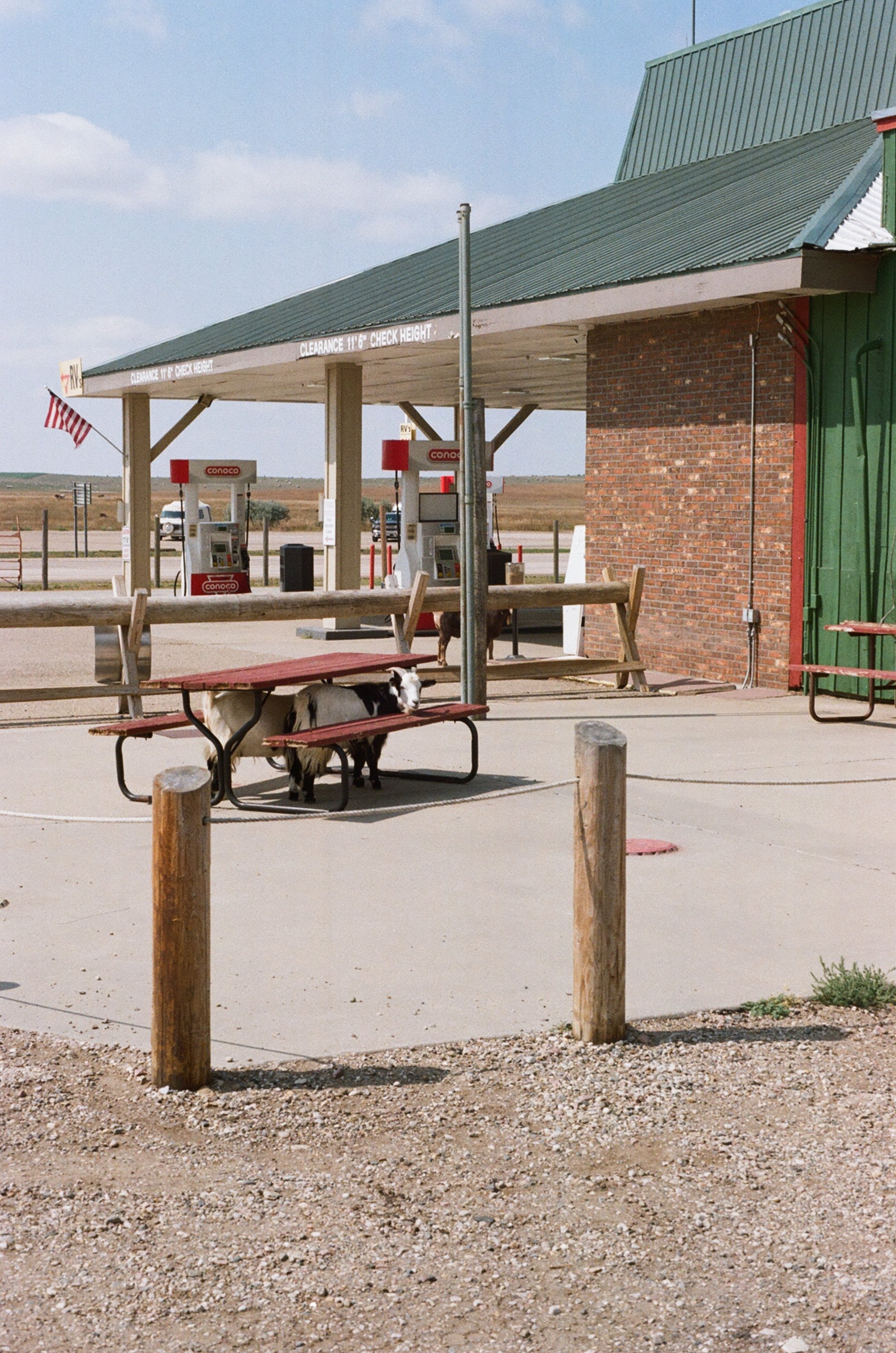 000014570010 copy.jpg