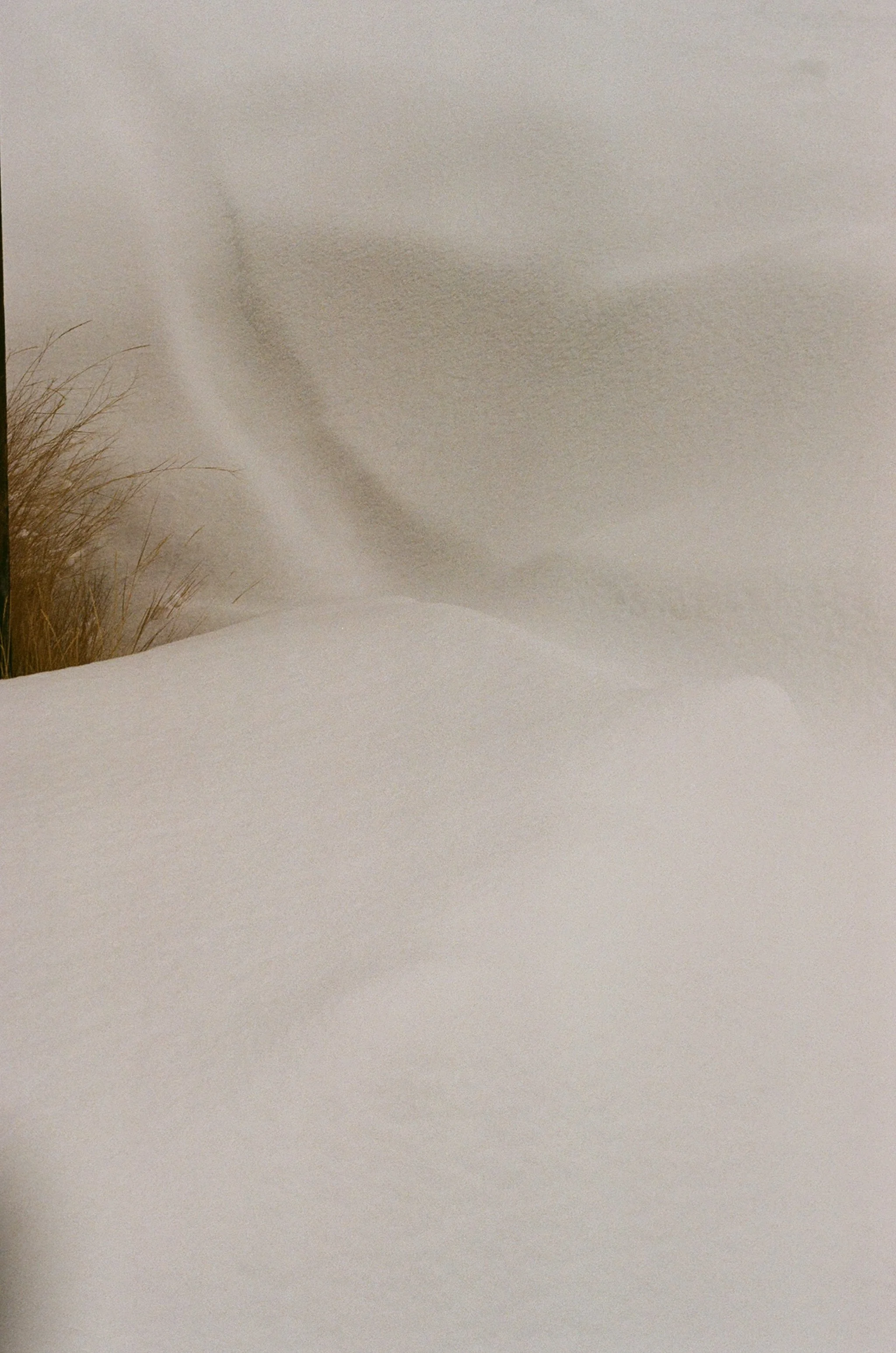 000015970019 copy.jpg