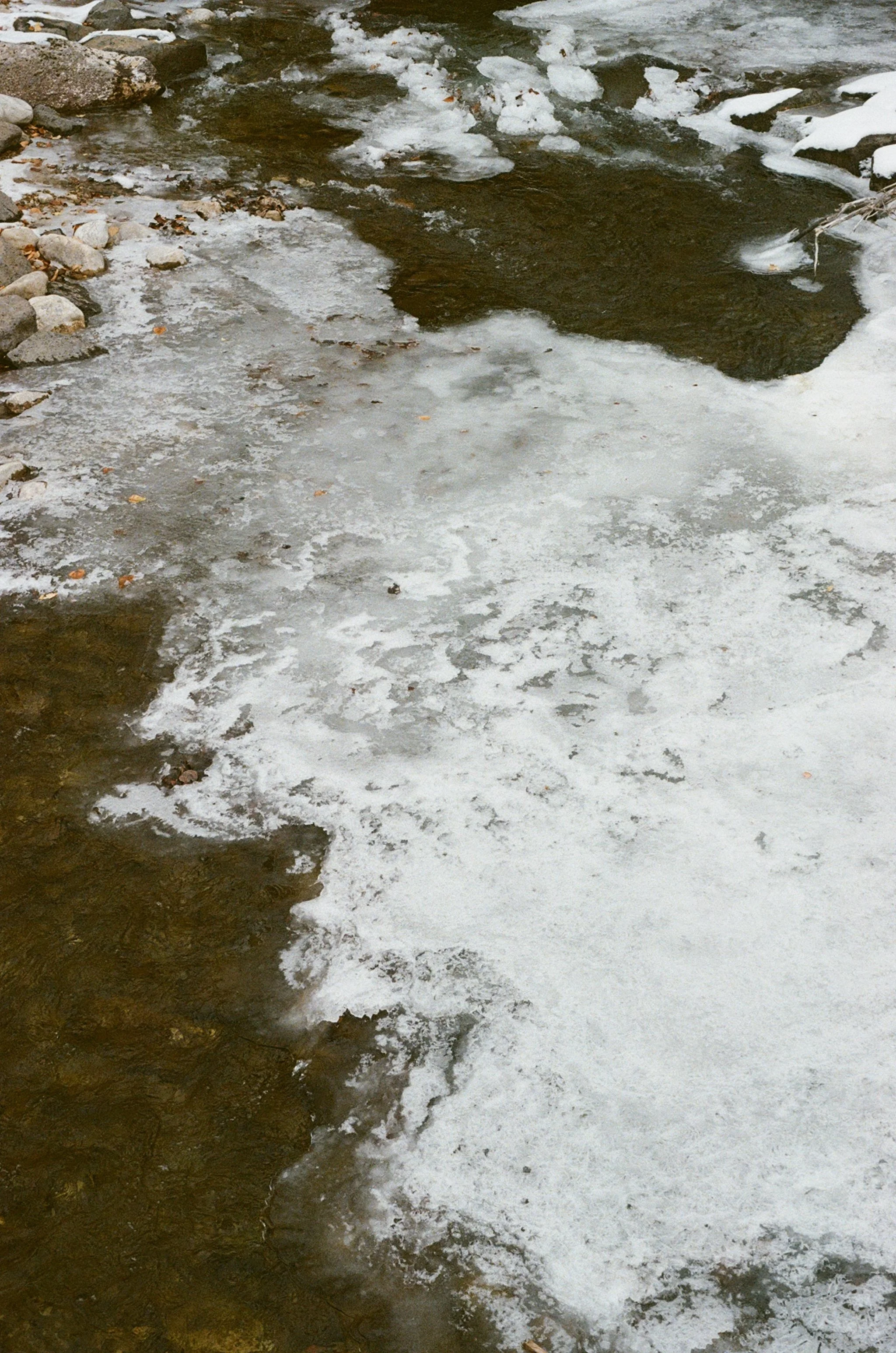 000015980011 copy.jpg