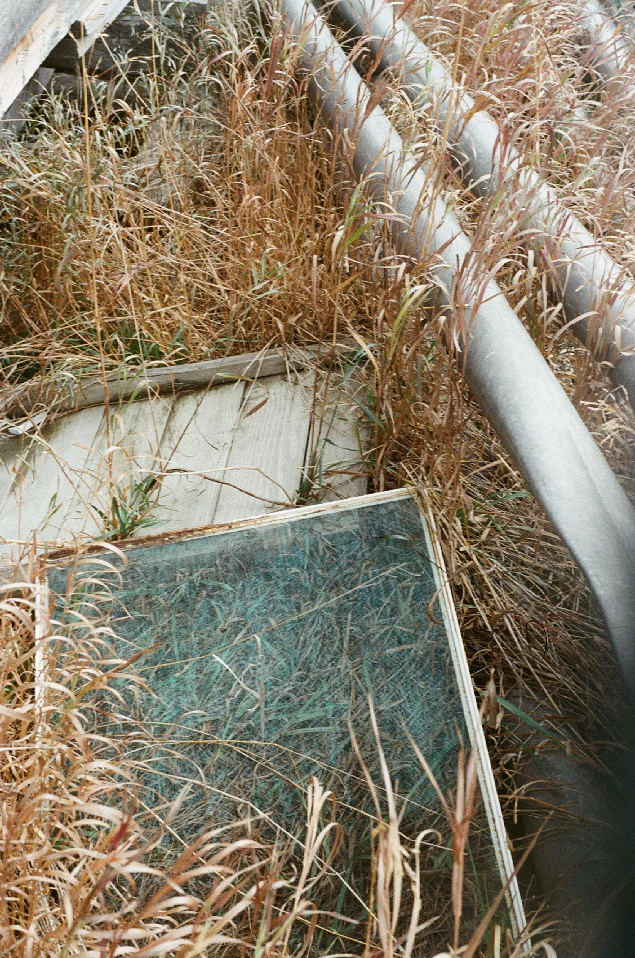 000015980017 copy.jpg