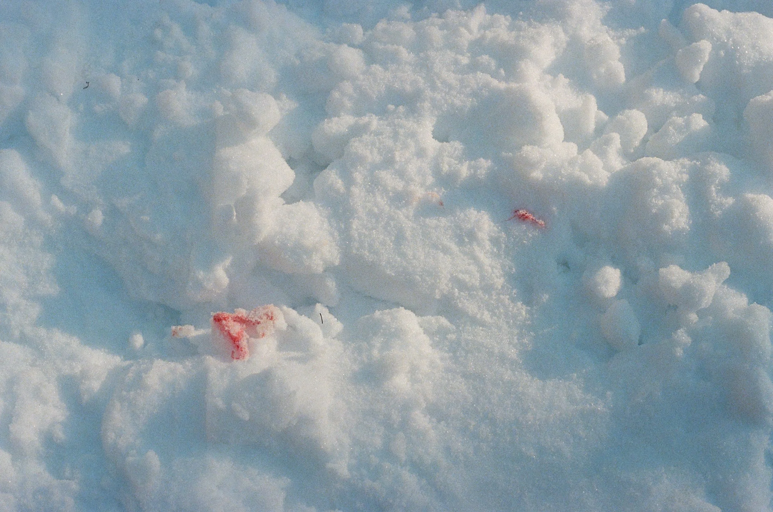 000015980026 copy.jpg