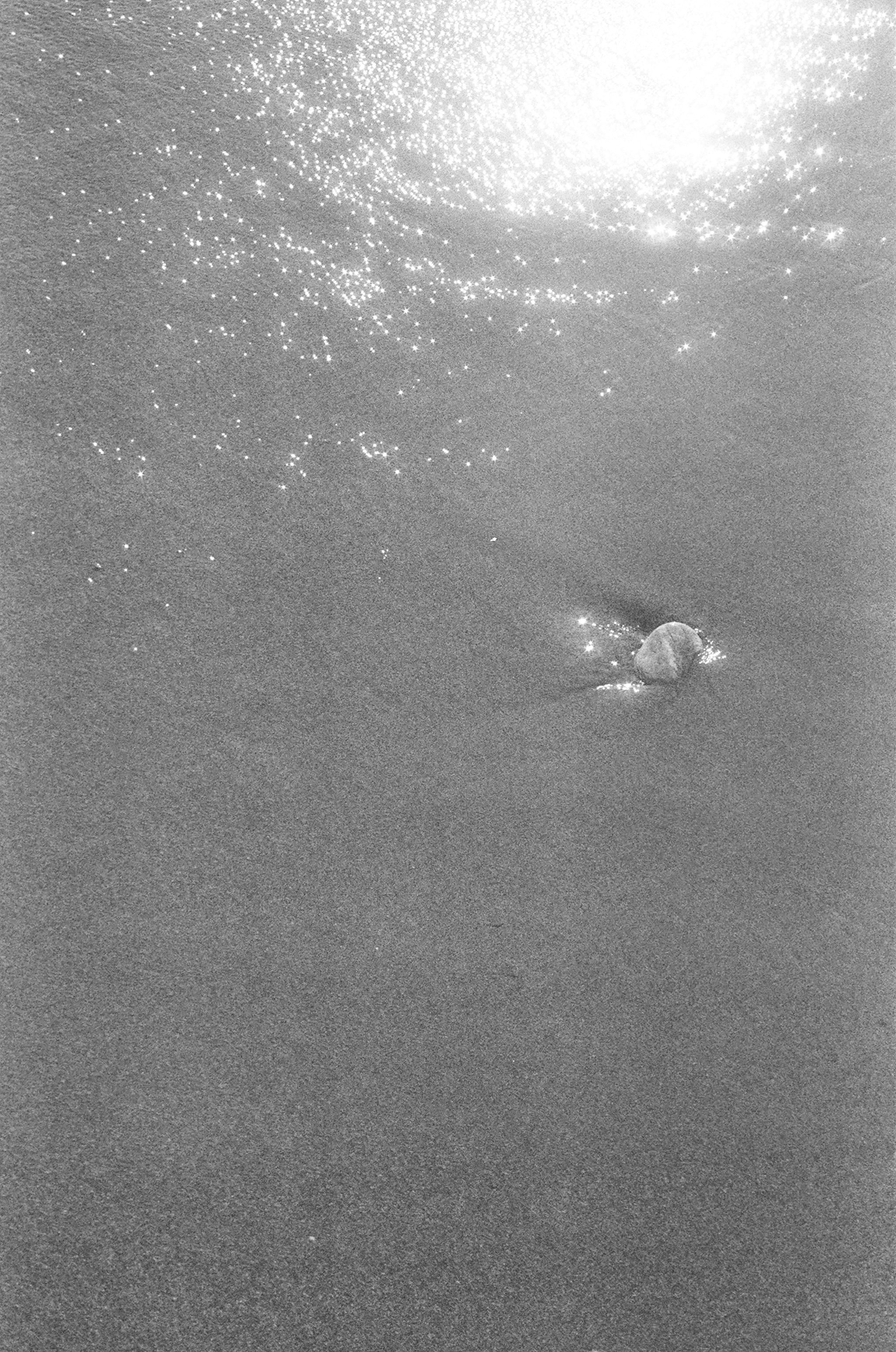 000010900013 copy.jpg