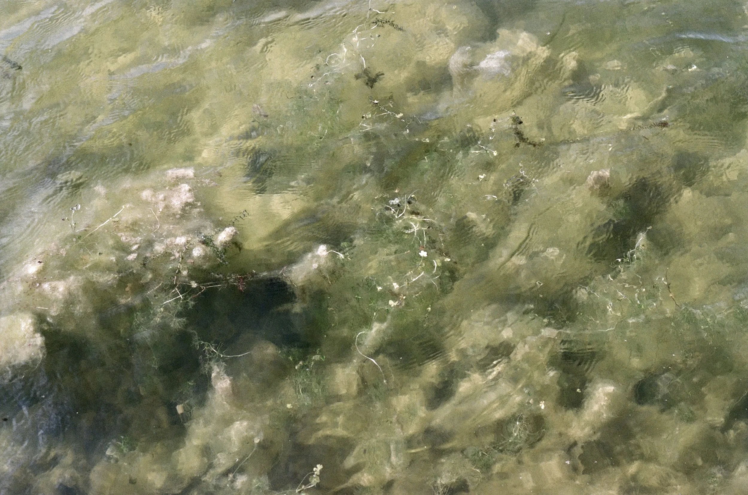 000014610033 copy.jpg