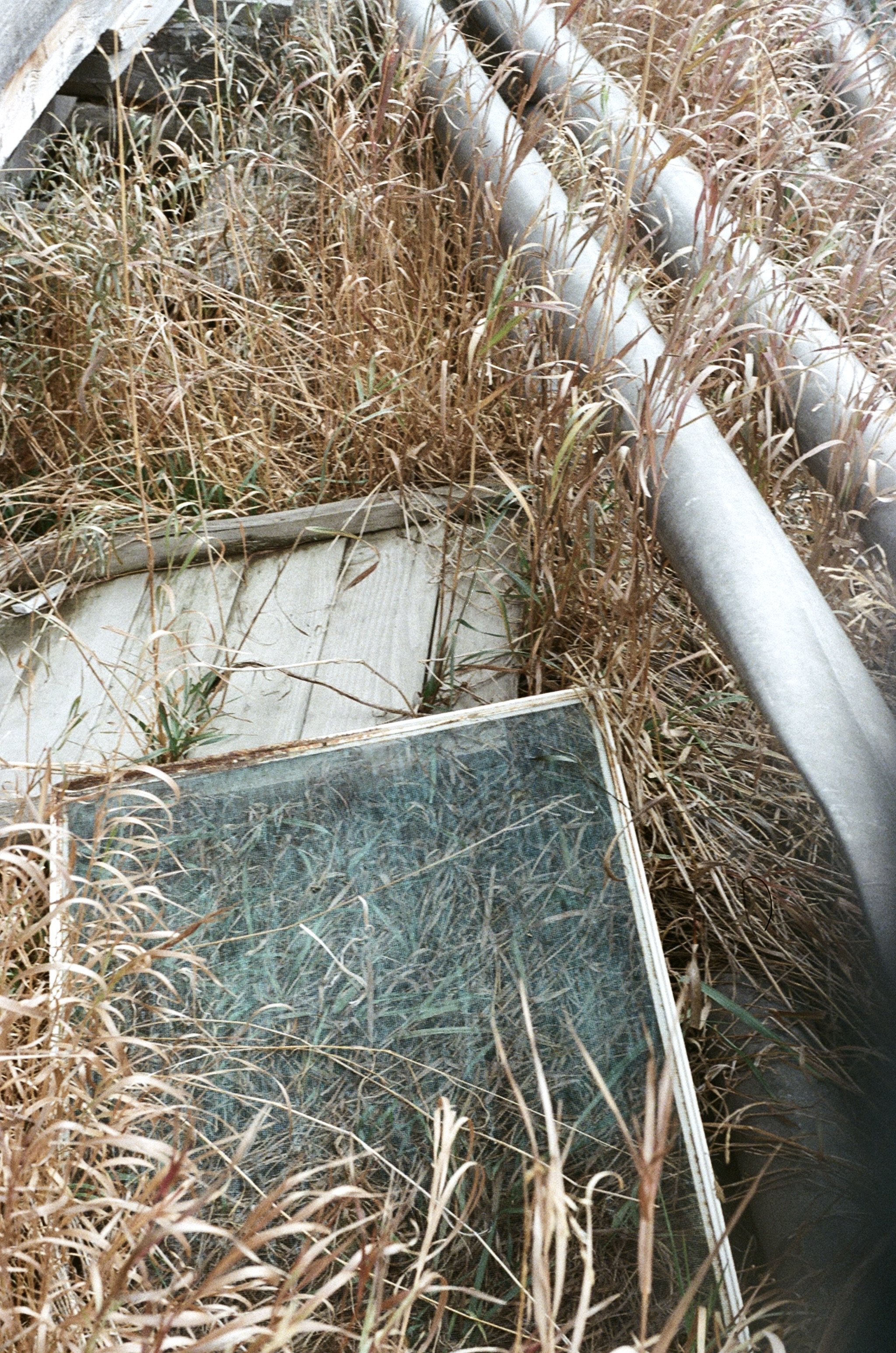 000015980017 copy.jpg