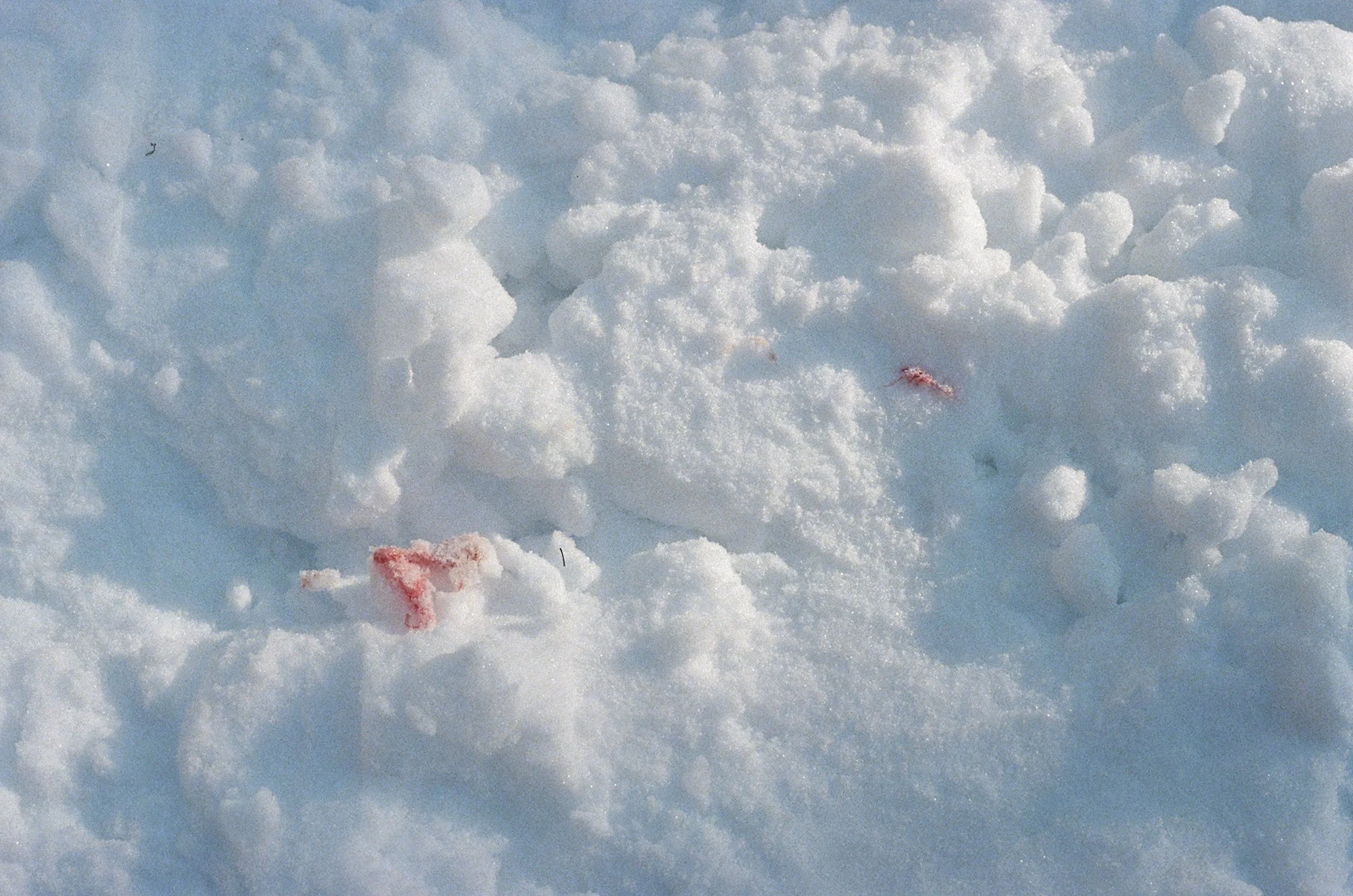 000015980026 copy.jpg