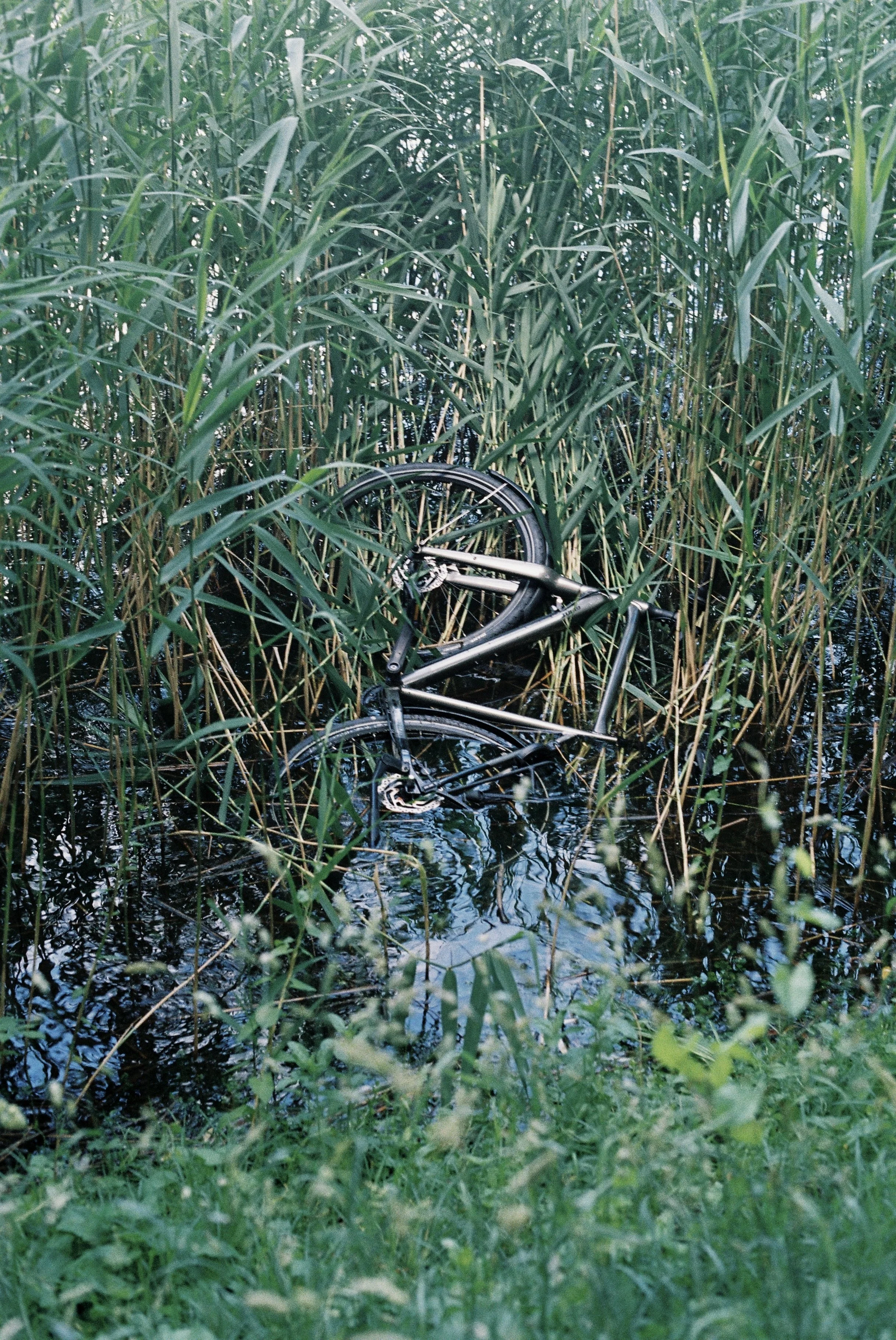 R1-01490-0009 copy.jpeg