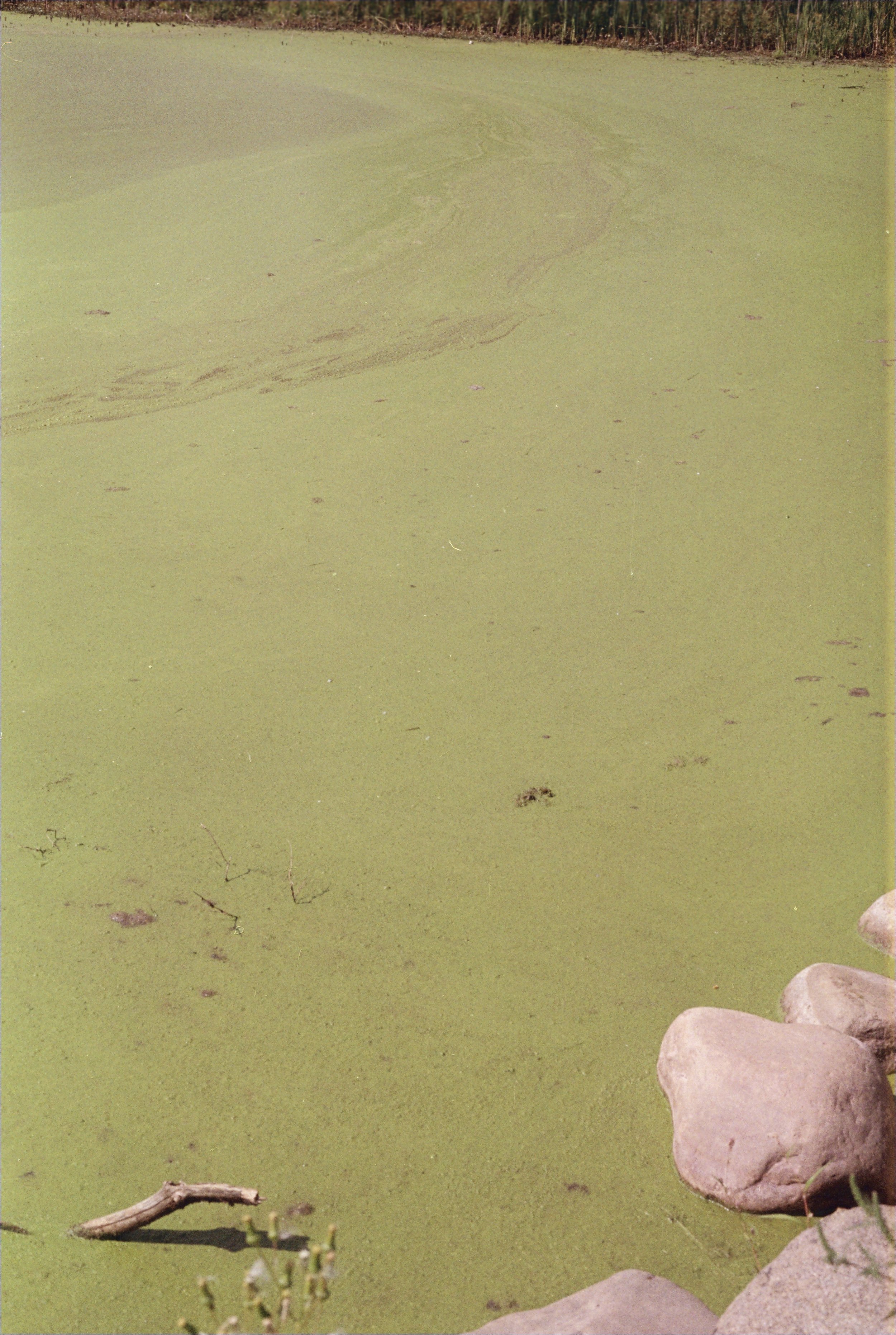 r001-037 copy.jpg